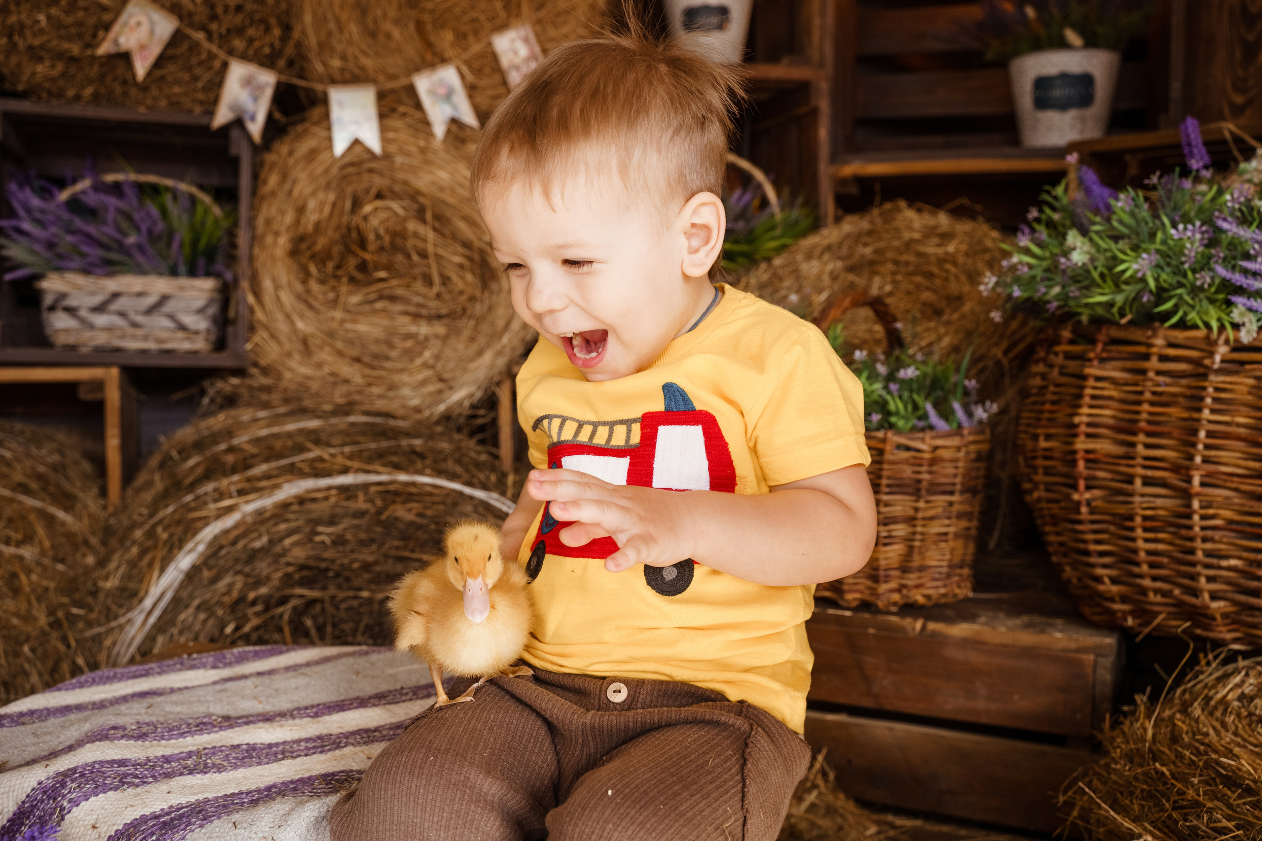 Фотосессия с утятами в студии