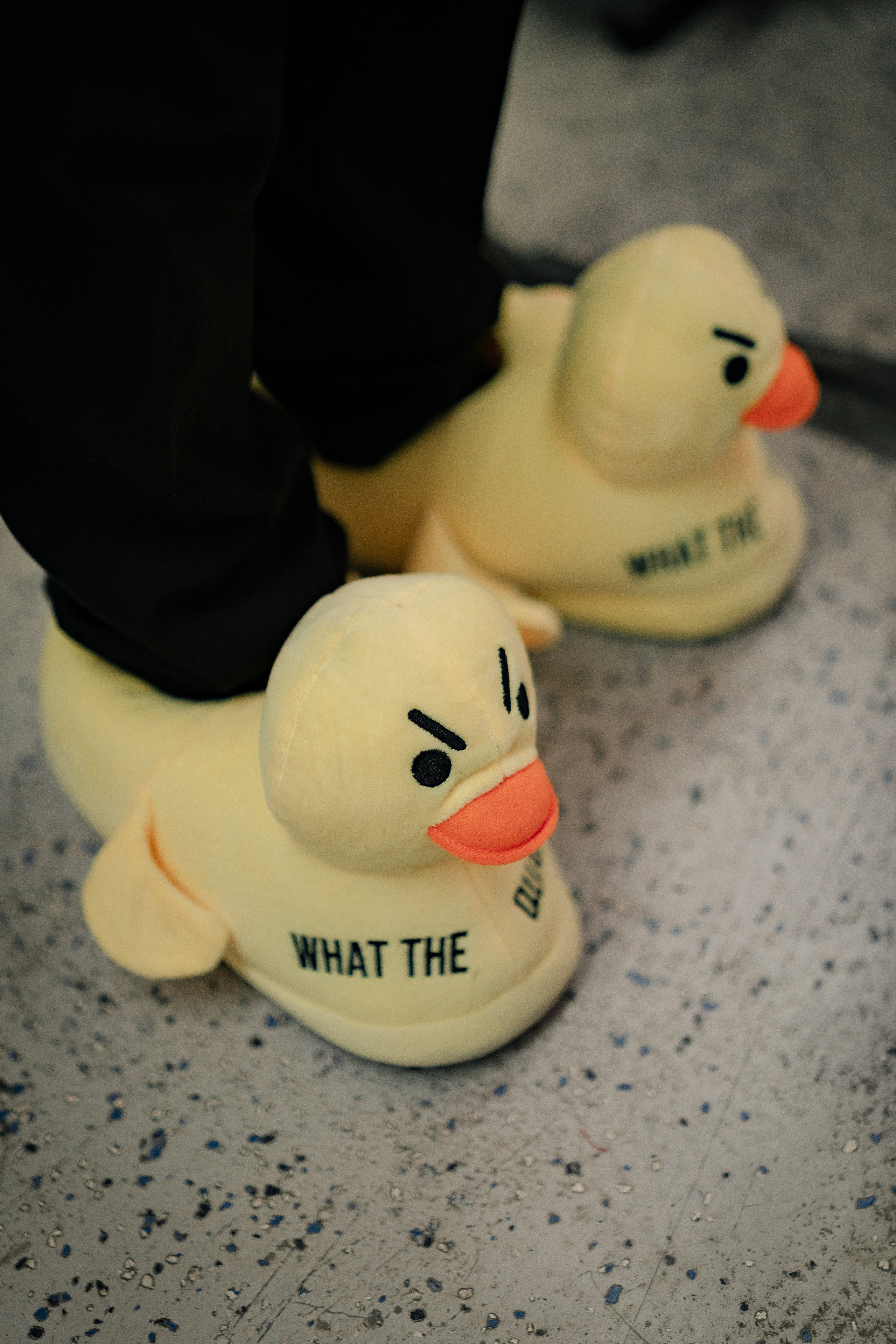 PORTFOLIO PARTY 2025 — КАК ЭТО БЫЛО