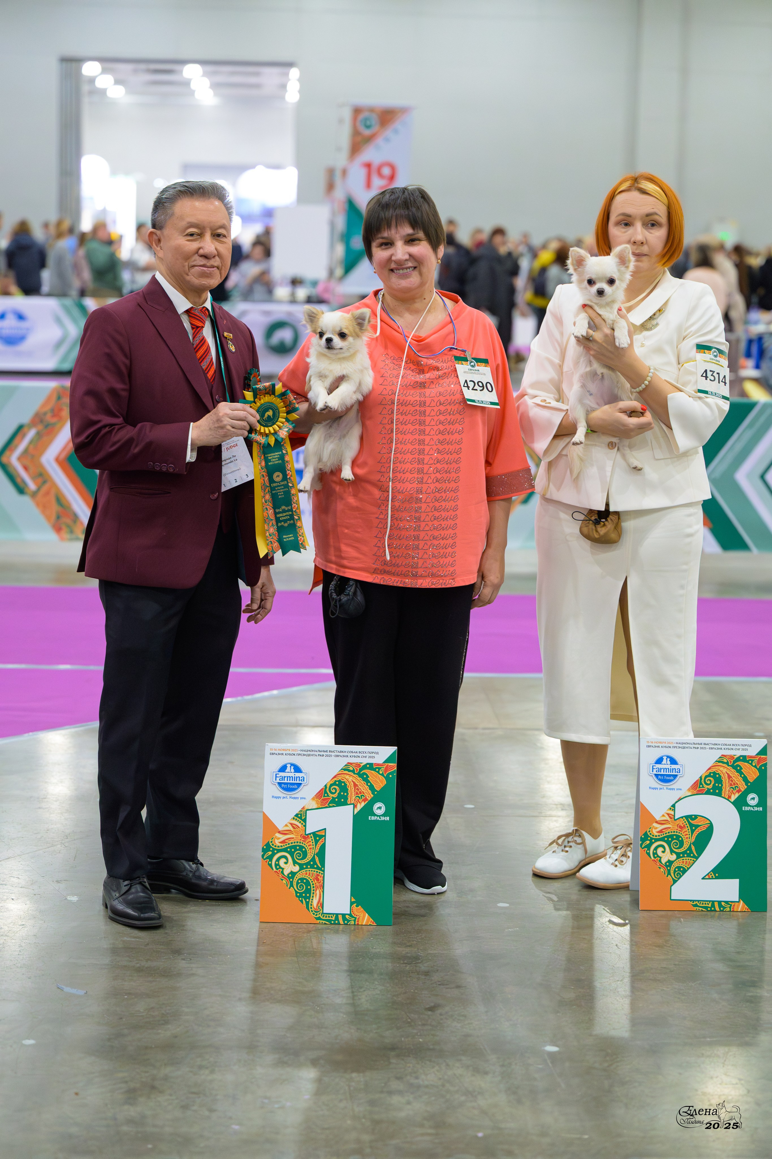 15-16.11.2025 ЕВРАЗИЯ г. Москва. Фотограф анималист Елена Галдина г. Красноярск