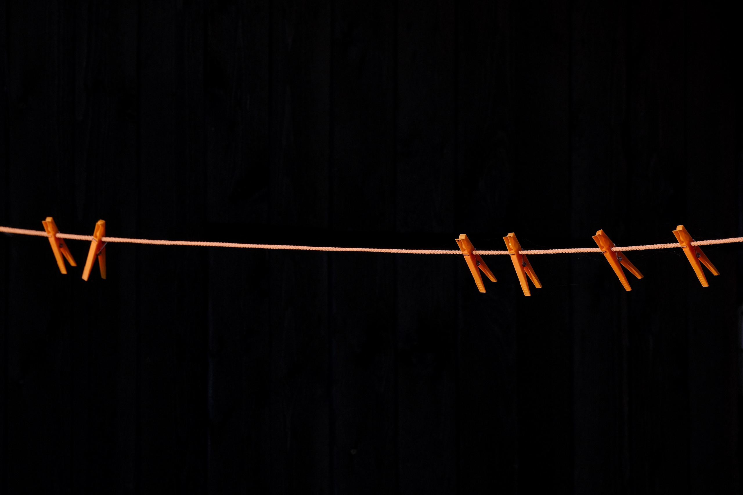 Русский север 27.09.25 — 05.10.25. Фотострелка