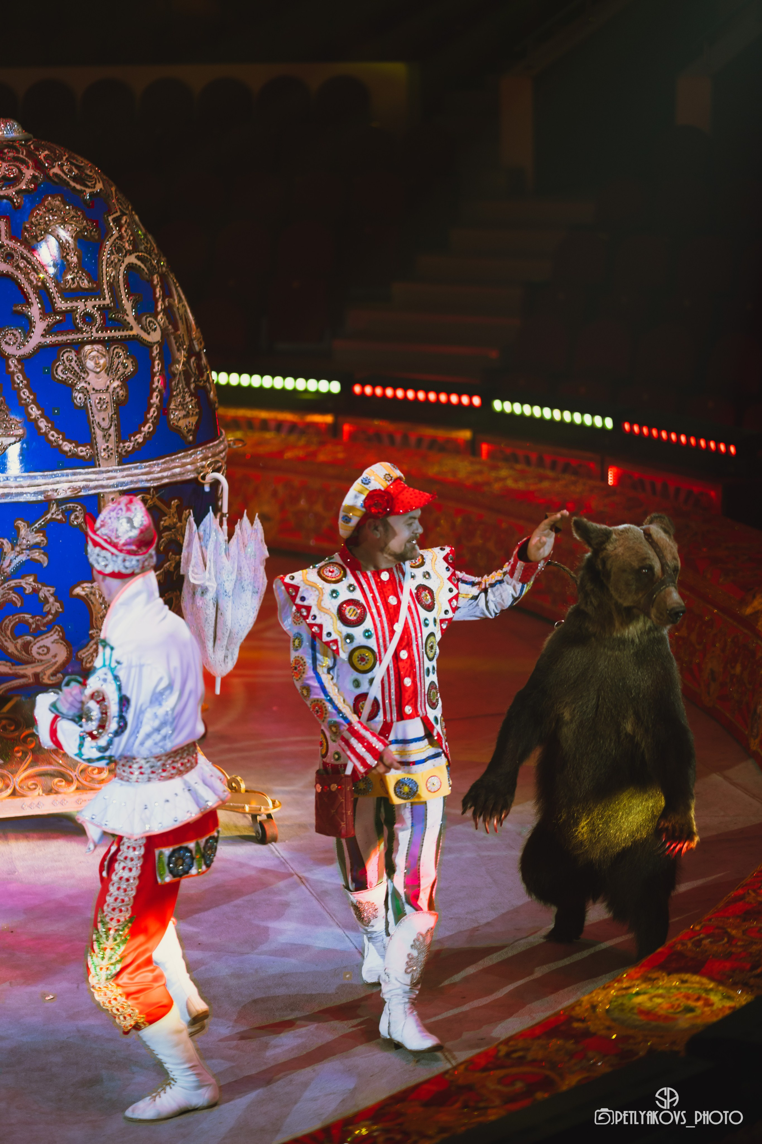 Пресс-конференция циркового шоу Гии Эрадзе «Бурлеск» (репортаж). Фотограф, видеограф Пятигорск, Ставрополь, Ессентуки, Petlyakovs_photo