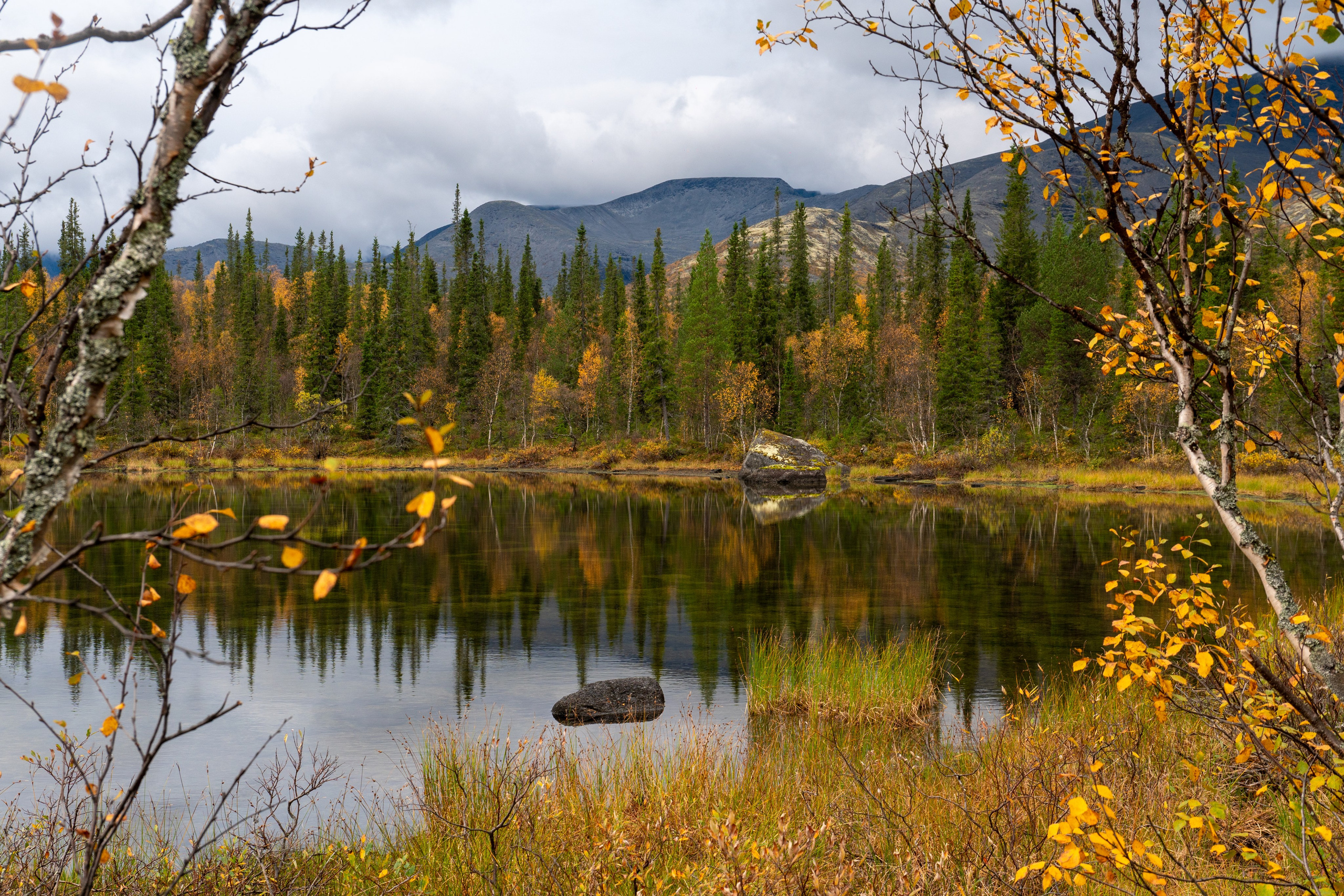 Daria wanderer photography