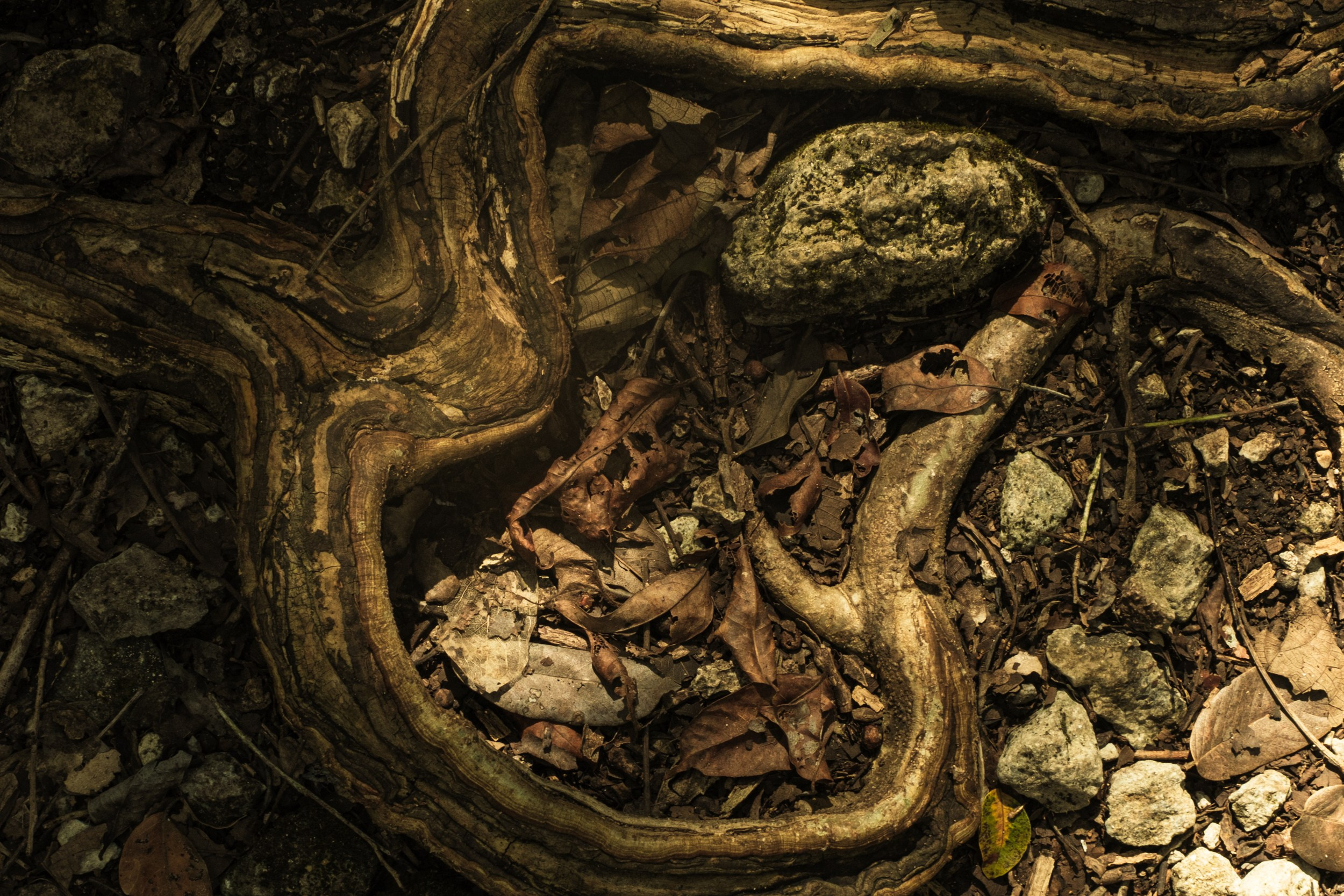 Mi Hija Mexicana. Margarita Rodionova — a contemporary lens-based artist currently working in Cancun, Mexico