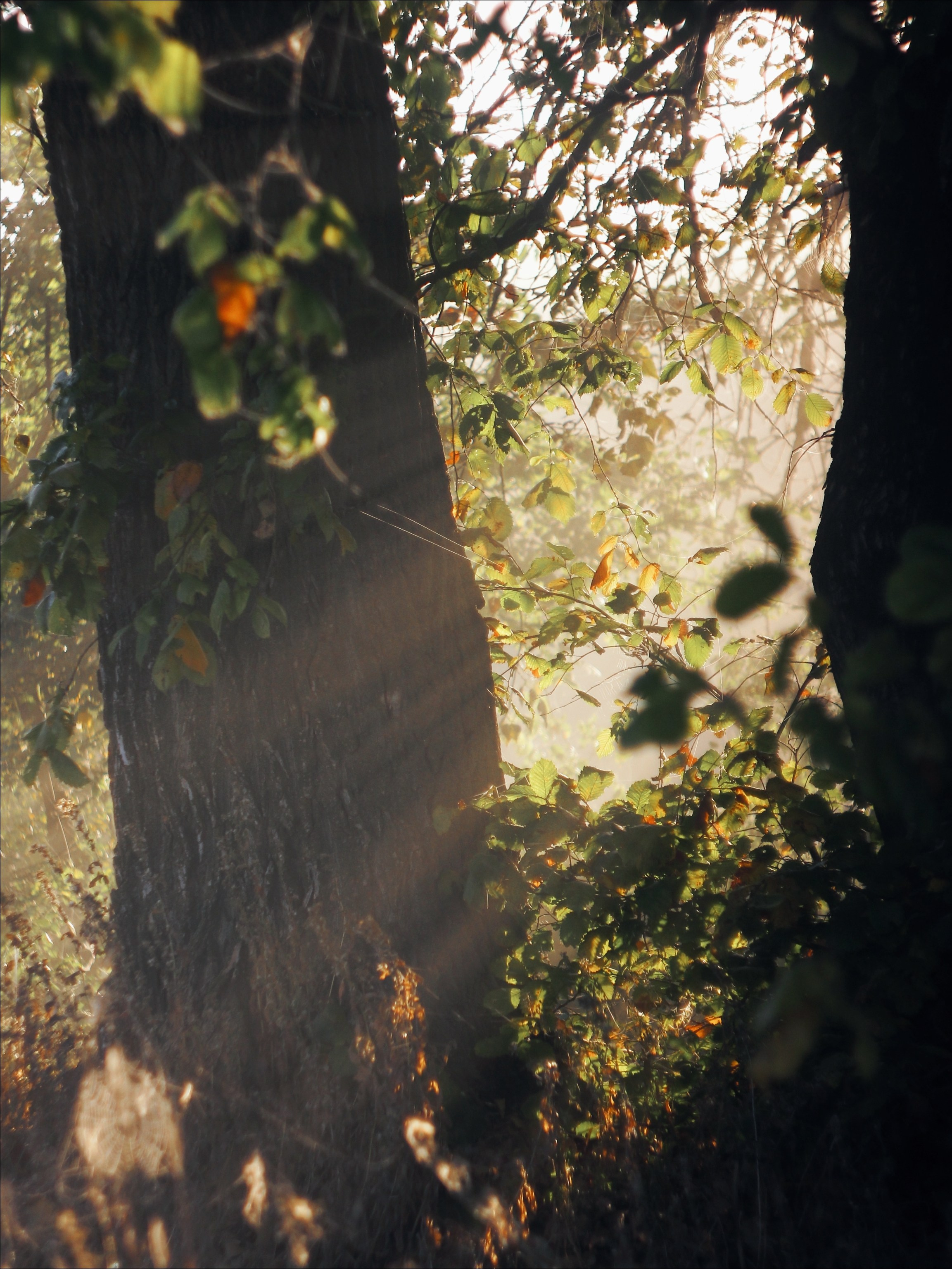 Опустошенность. С любовью, фотохудожник