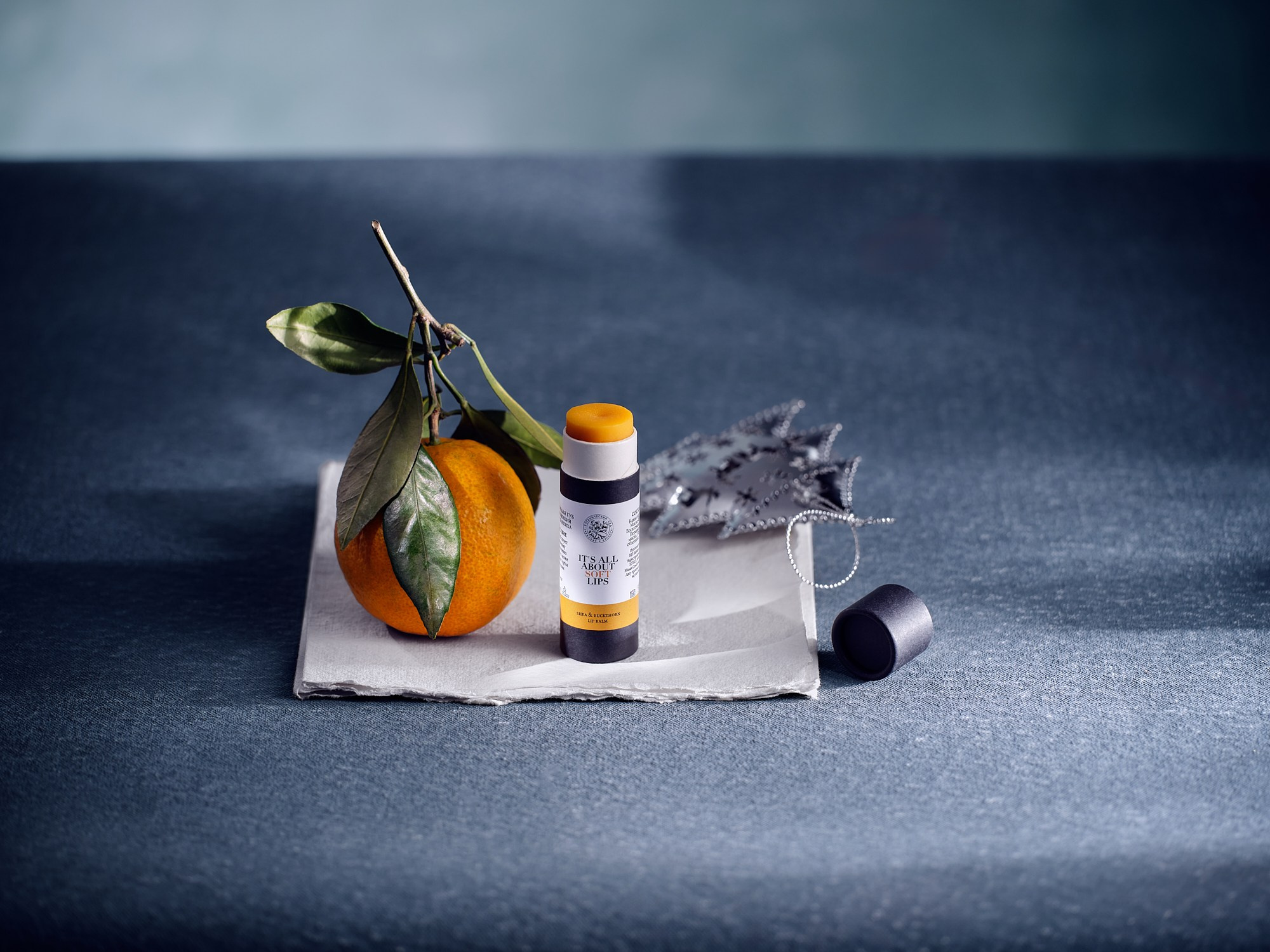 Ботанический Сад