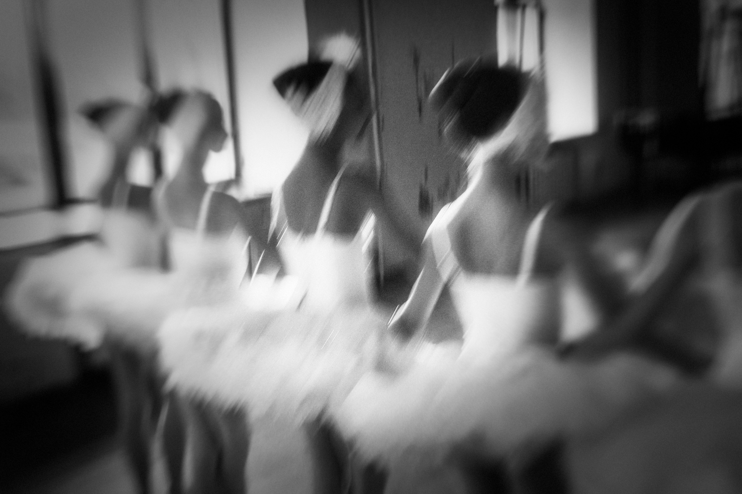 Одуванчики в пуантах. Женский семейный фотограф Тула Москва Захарова Анна