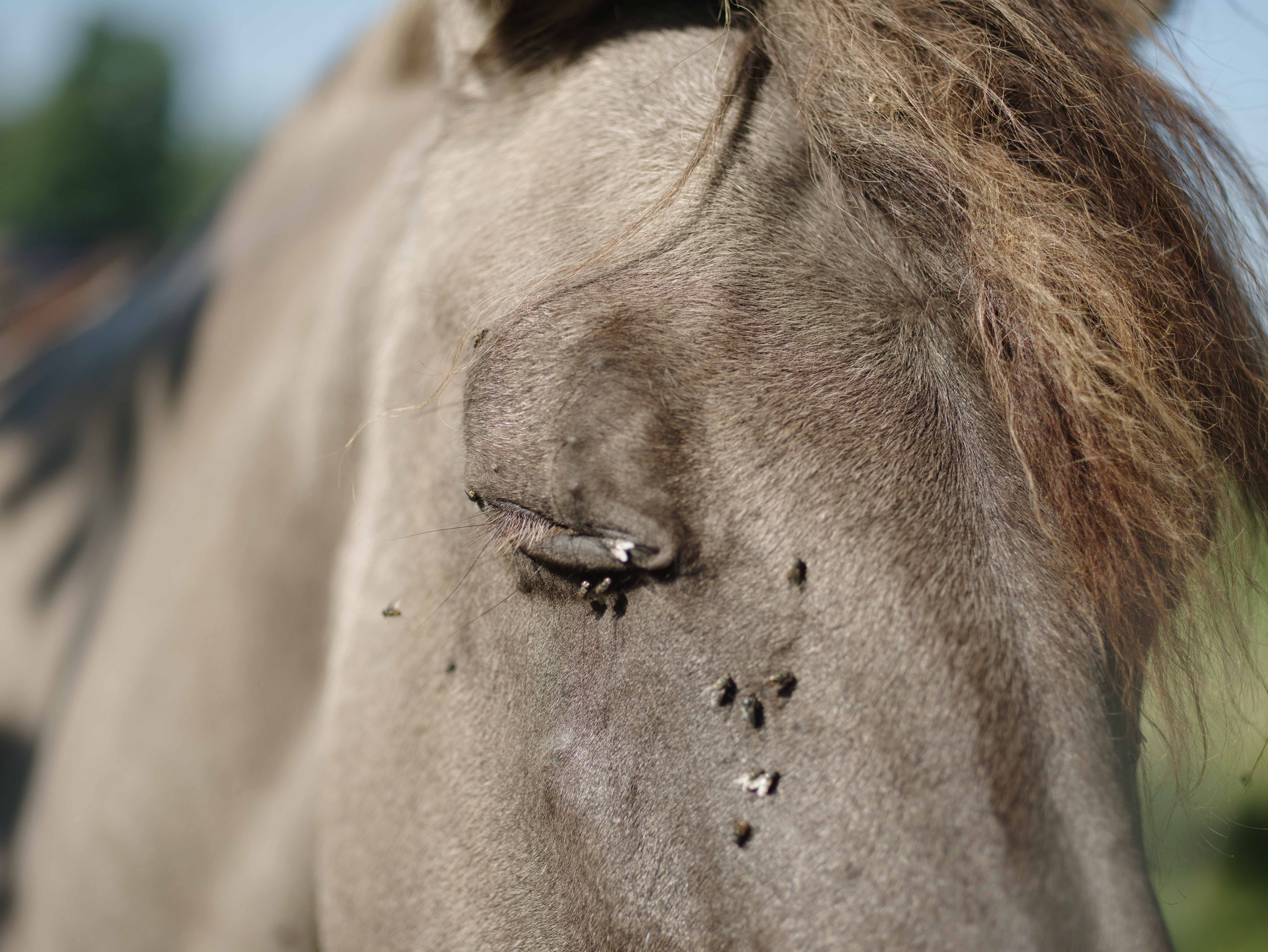 Antropocen (ongoing). Photographer, Documentary and Art