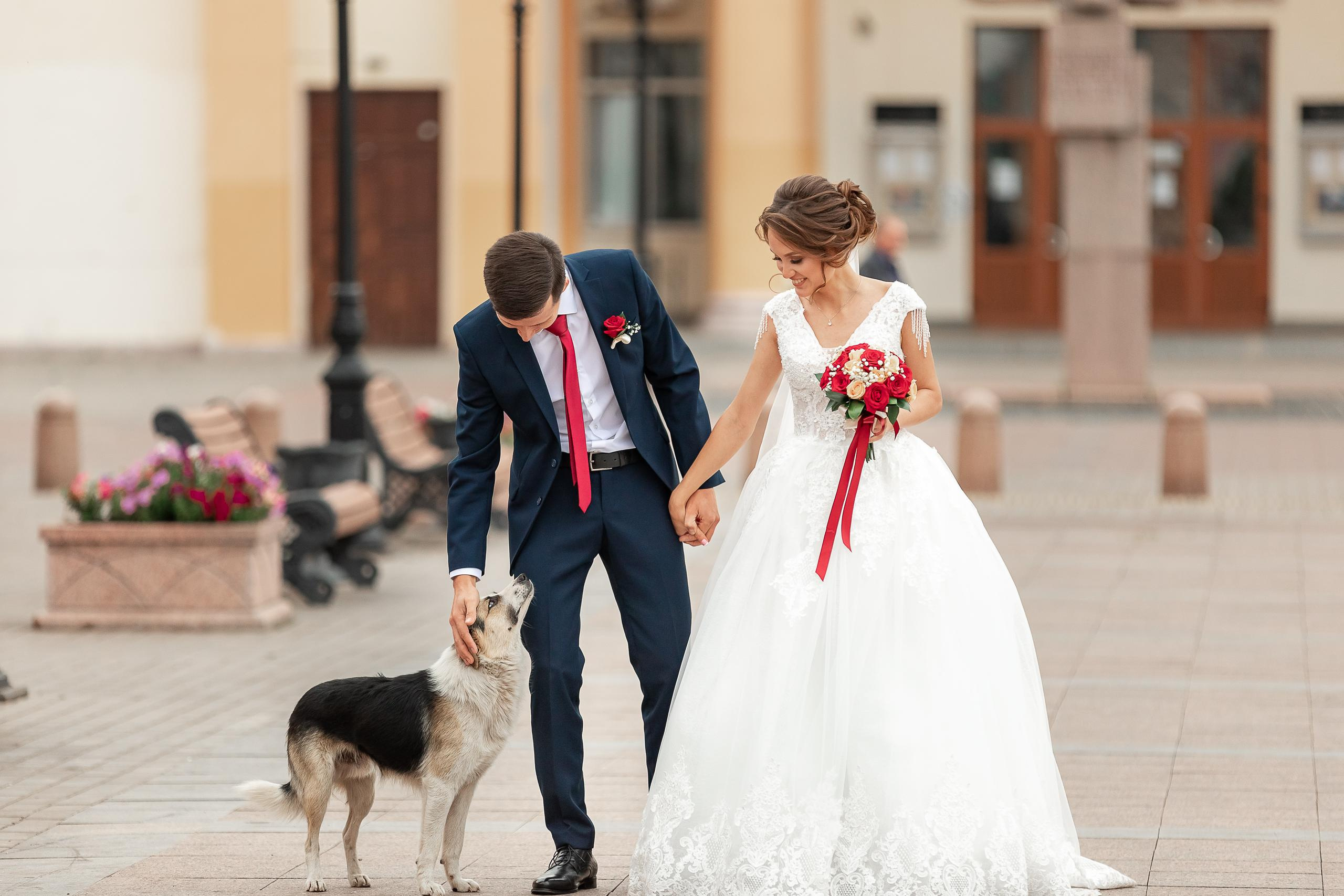 Свадьба Артёма и Анастасии. Свадебный и семейный фотограф в Уфе и Стерлитамаке Николай Кулагин
