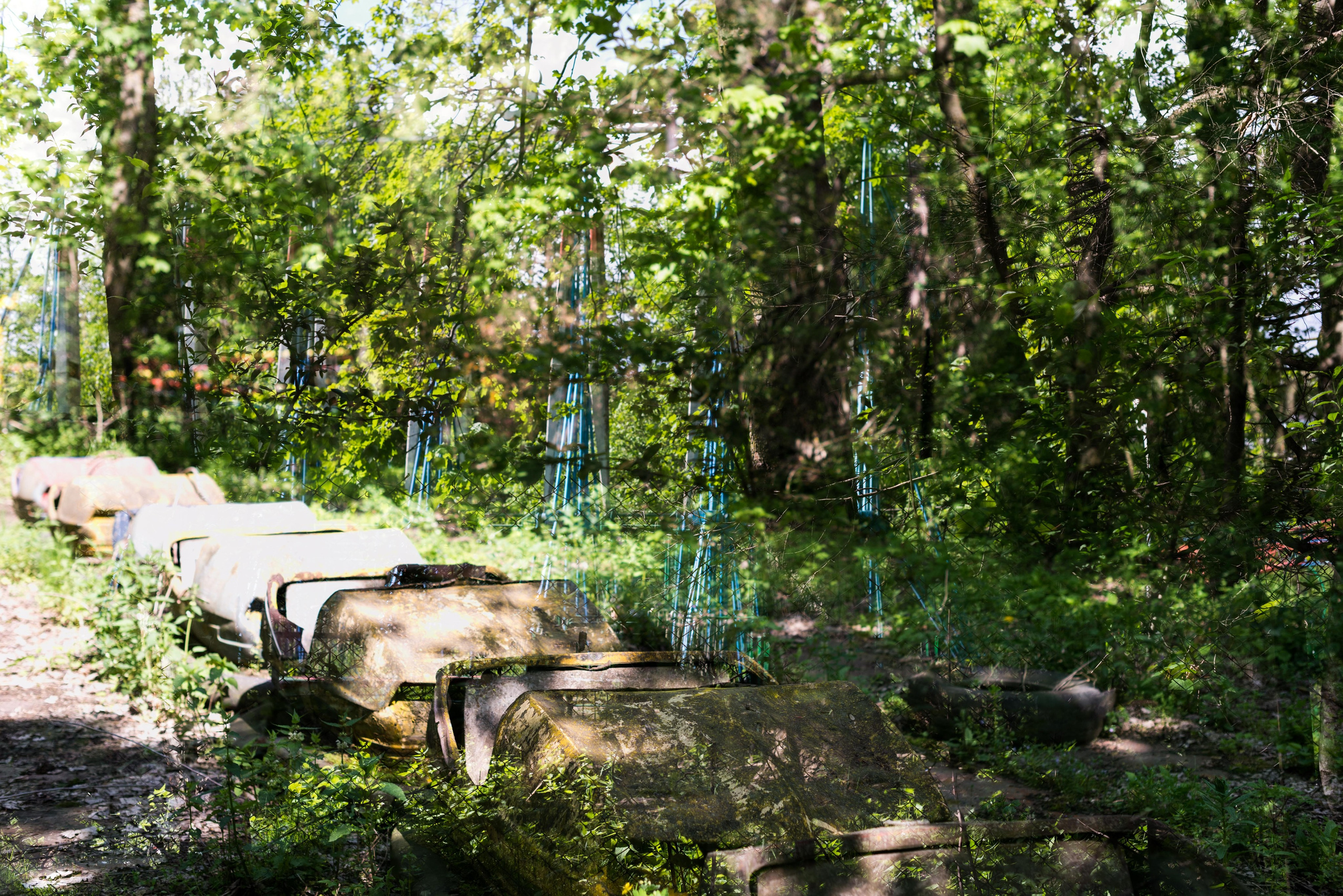 Dilijan park, Armenia. Событийный и тревел фотограф в Москве и по всему миру Мария Салахутдинова
