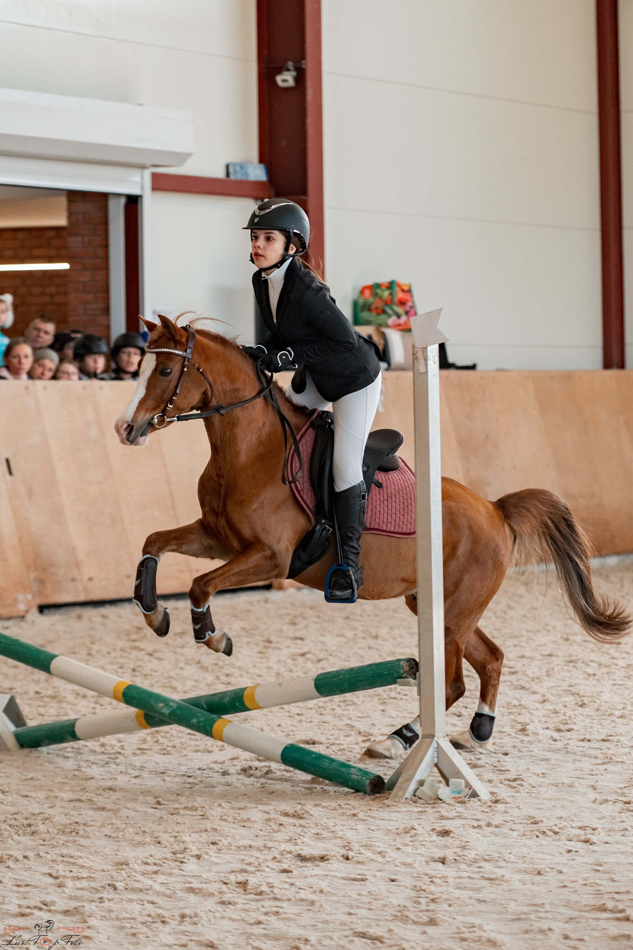 Эквипарк 6 этап Кубка Клубов. Конный и фотограф с животными в Твери Топталова Люся