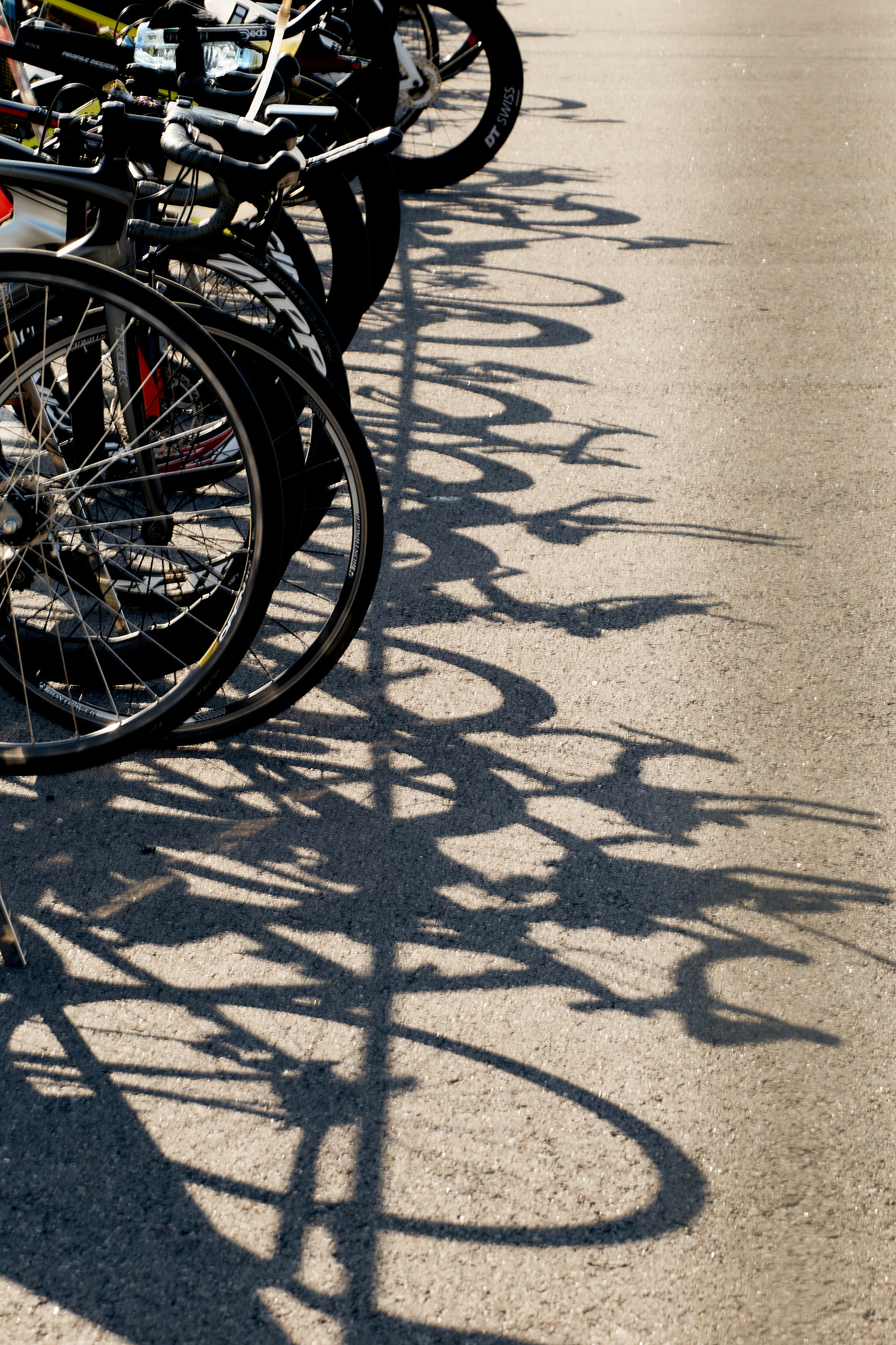 Triathlon in Saint-P. Юлия Иванова. Фотограф для лучших моментов