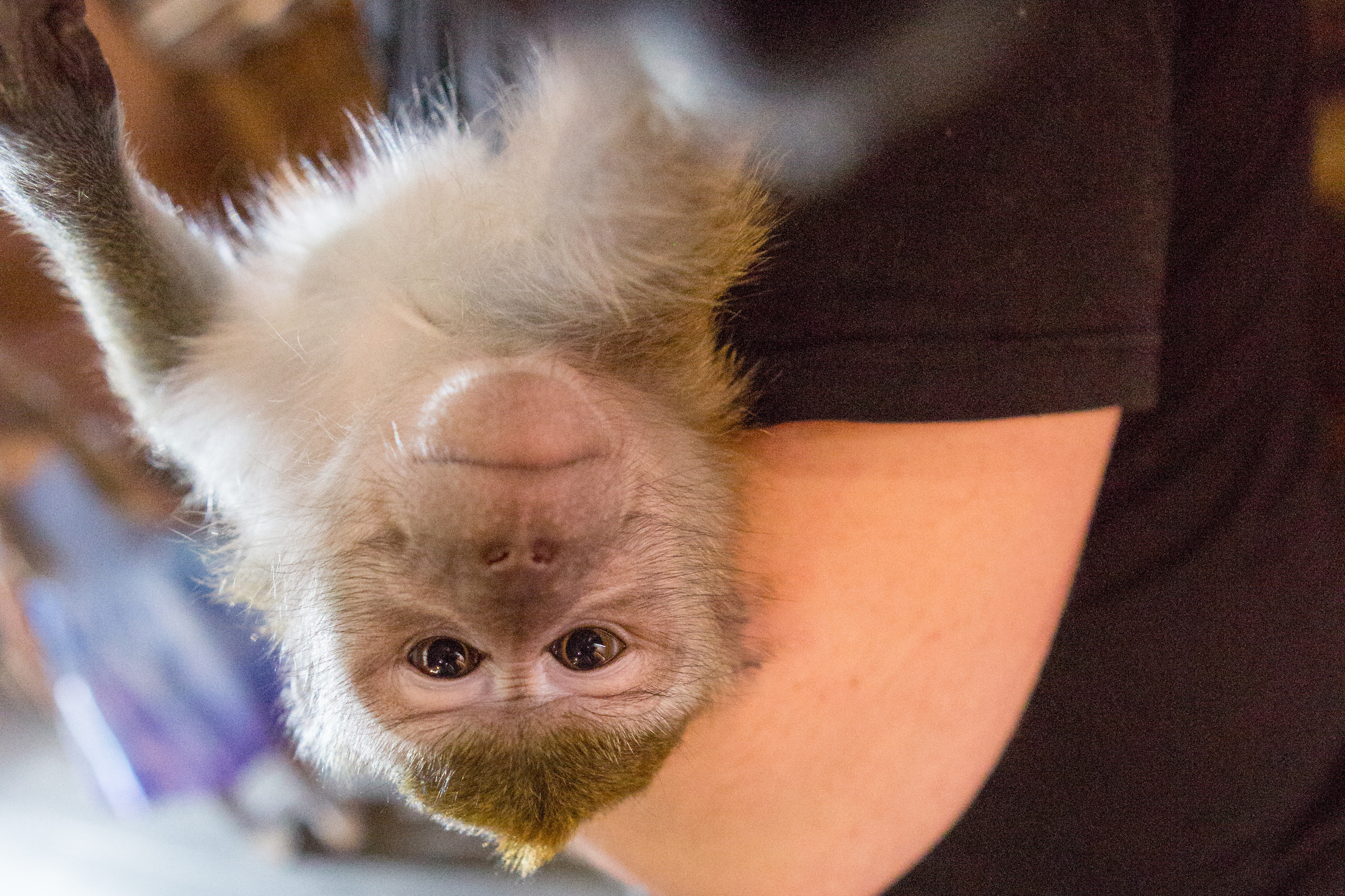 День Рождения Мити. Фотограф в Оренбурге. Профессиональный фотограф
