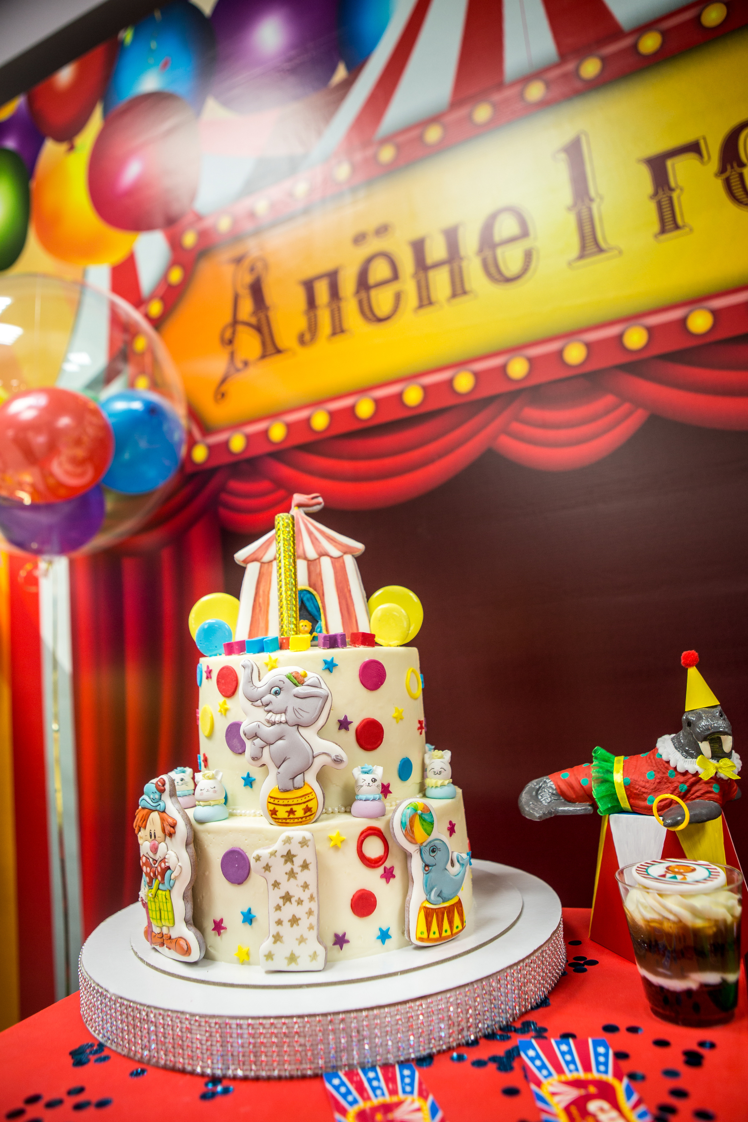 День Рождения Алёны. Фотограф в Оренбурге. Профессиональный фотограф