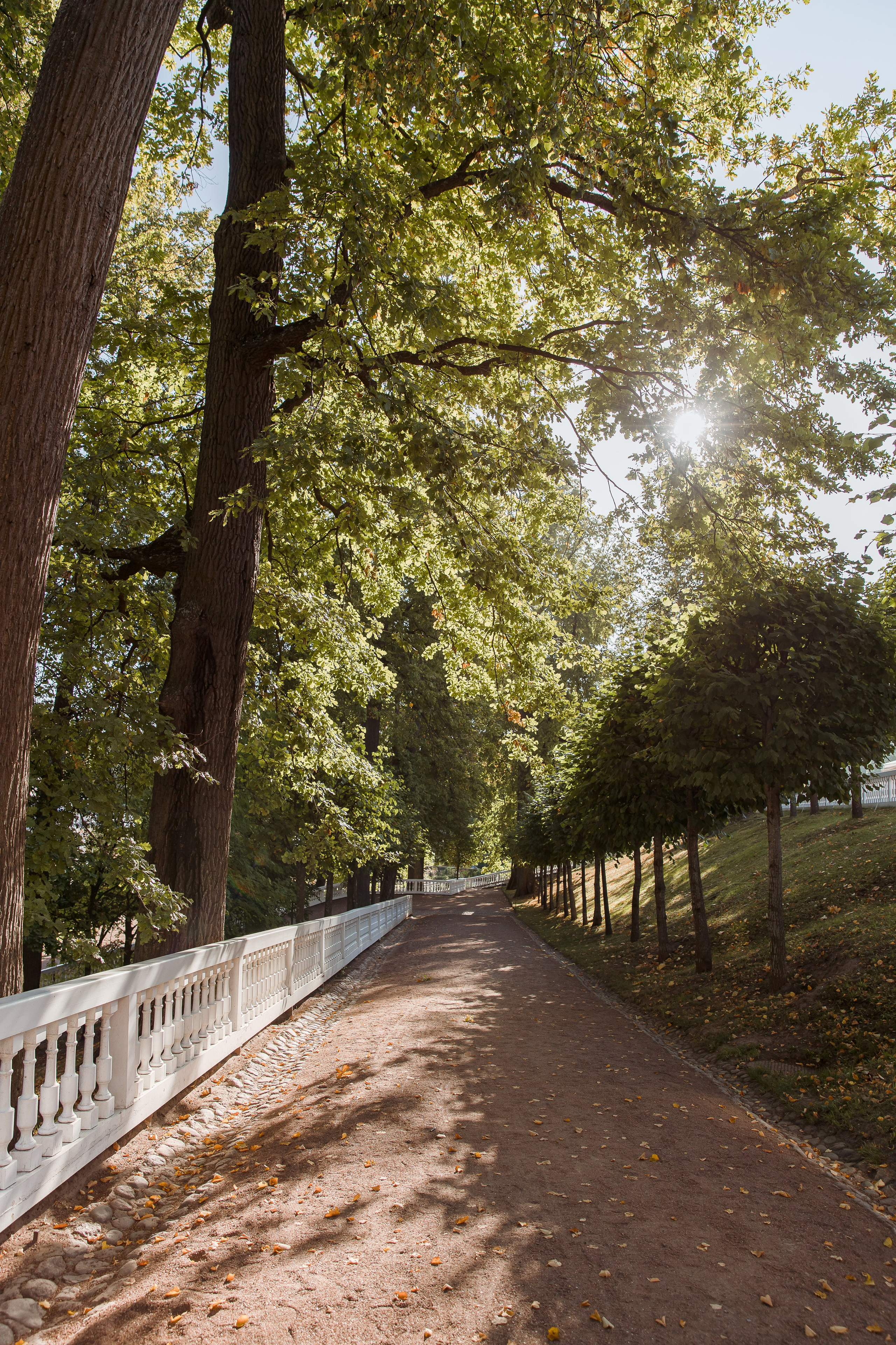 Санкт-Петербург, Питергоф осень 2023. Семейный и детский фотограф в Железногорске Саламахо Ольга