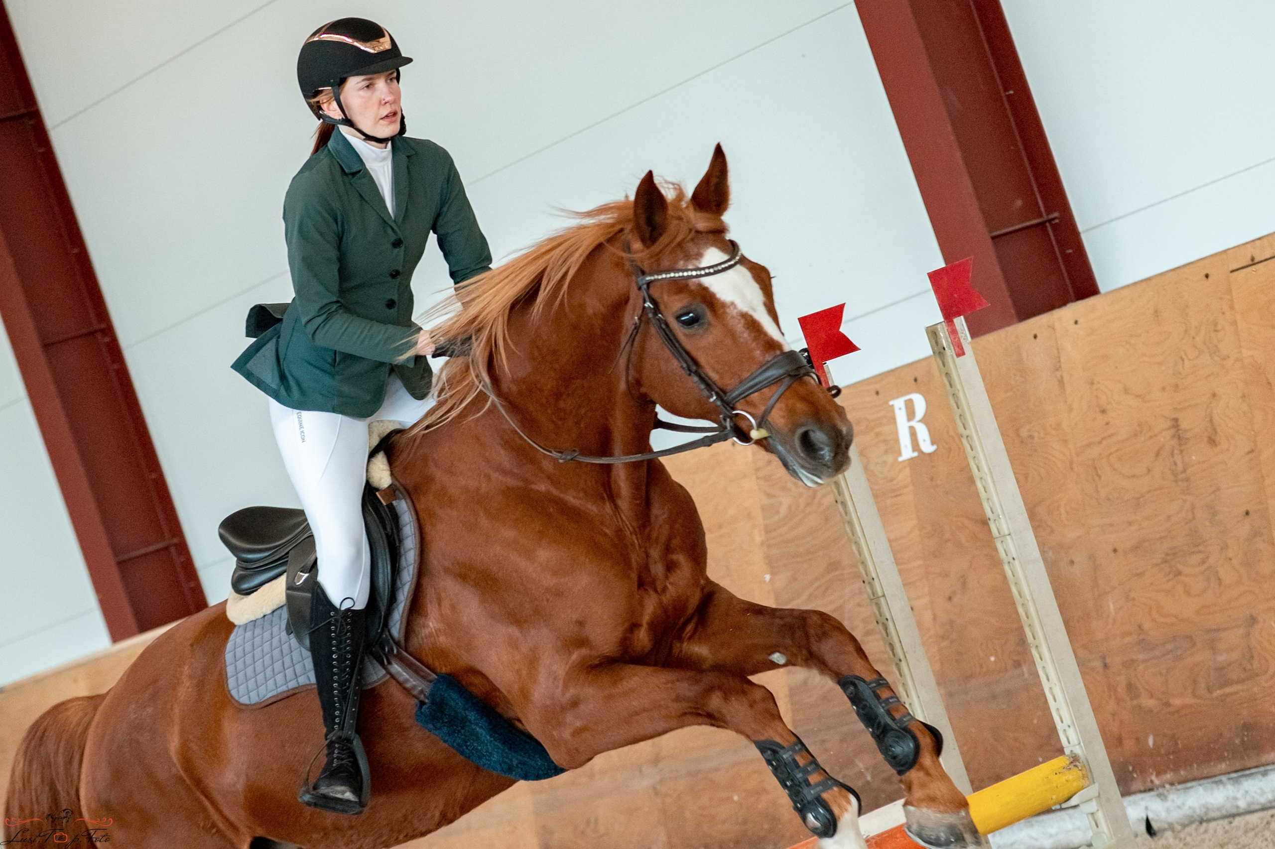 Эквипарк 6 этап Кубка Клубов. Конный и фотограф с животными в Твери Топталова Люся