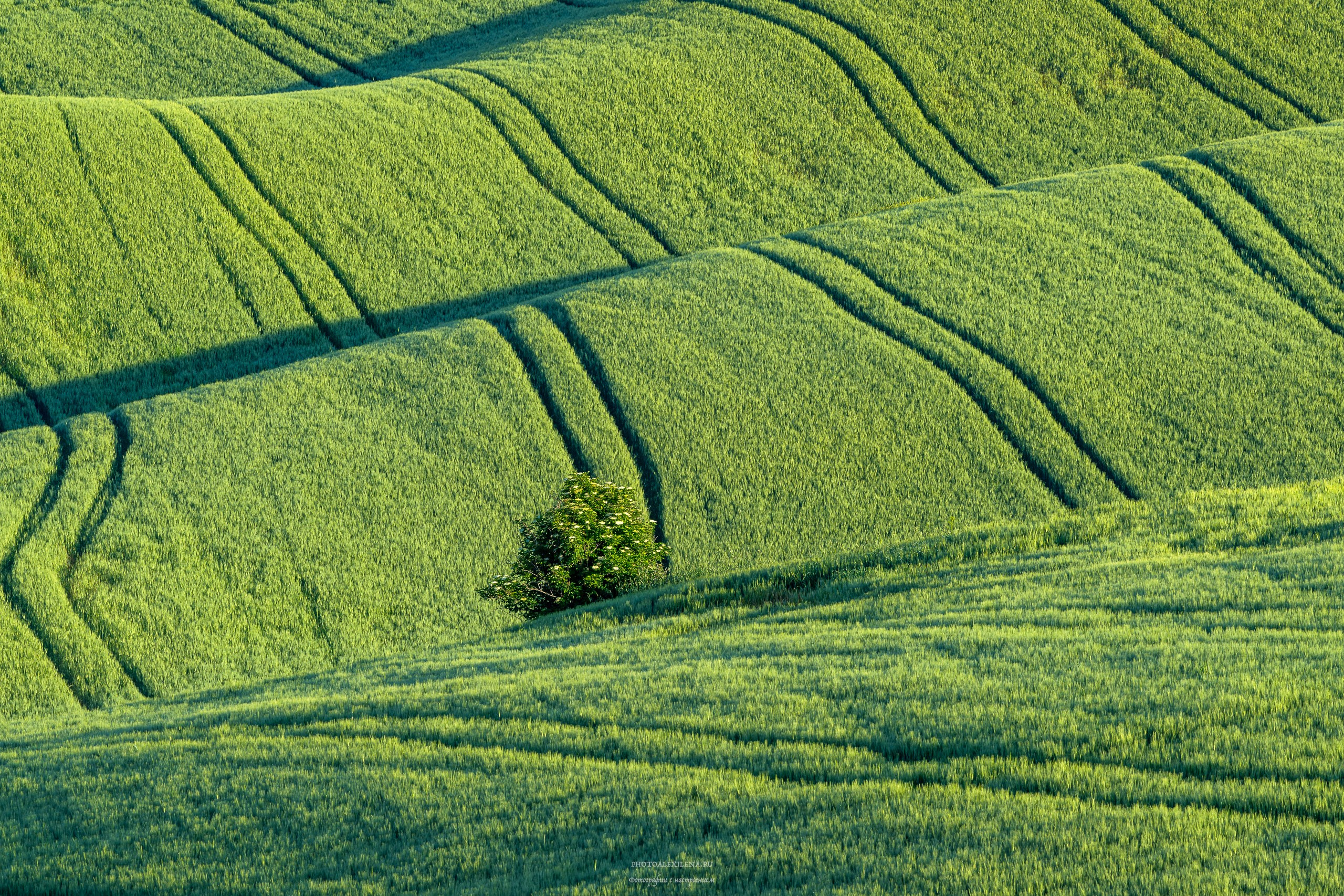 Путешествие сквозь красоту и вдохновение. Авторские стильные фотокартины