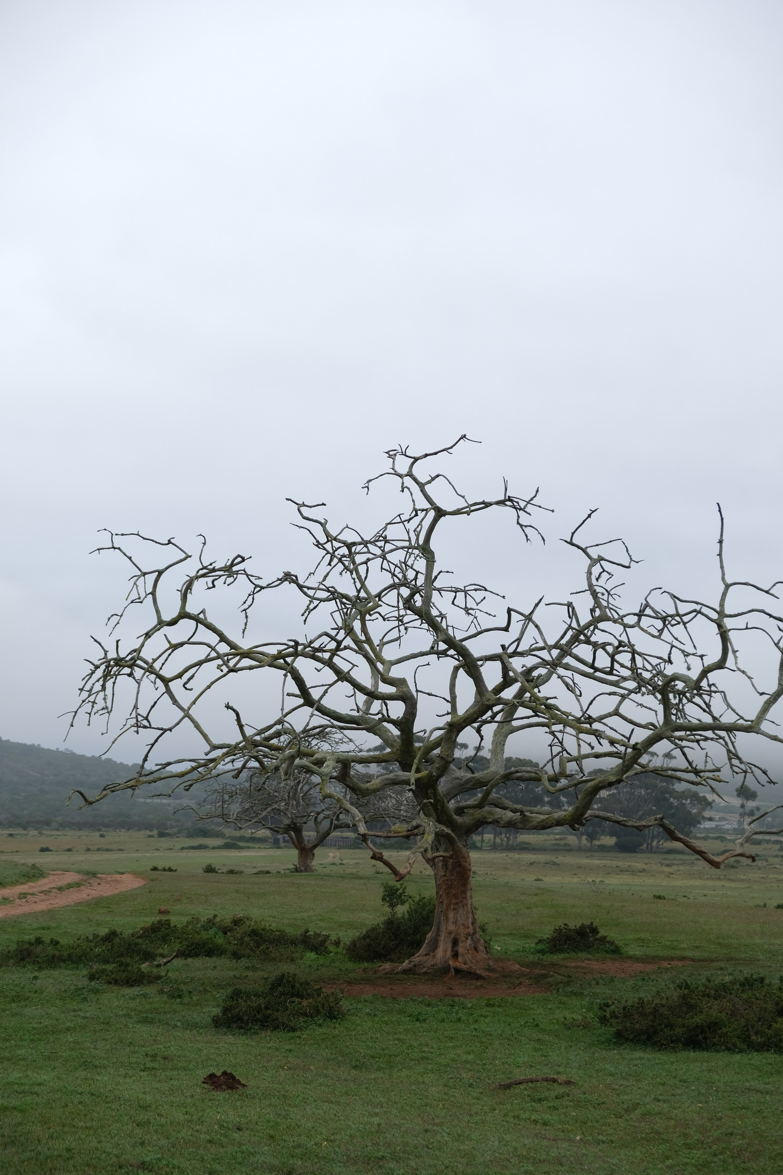 Nataresso | фотограф Москва