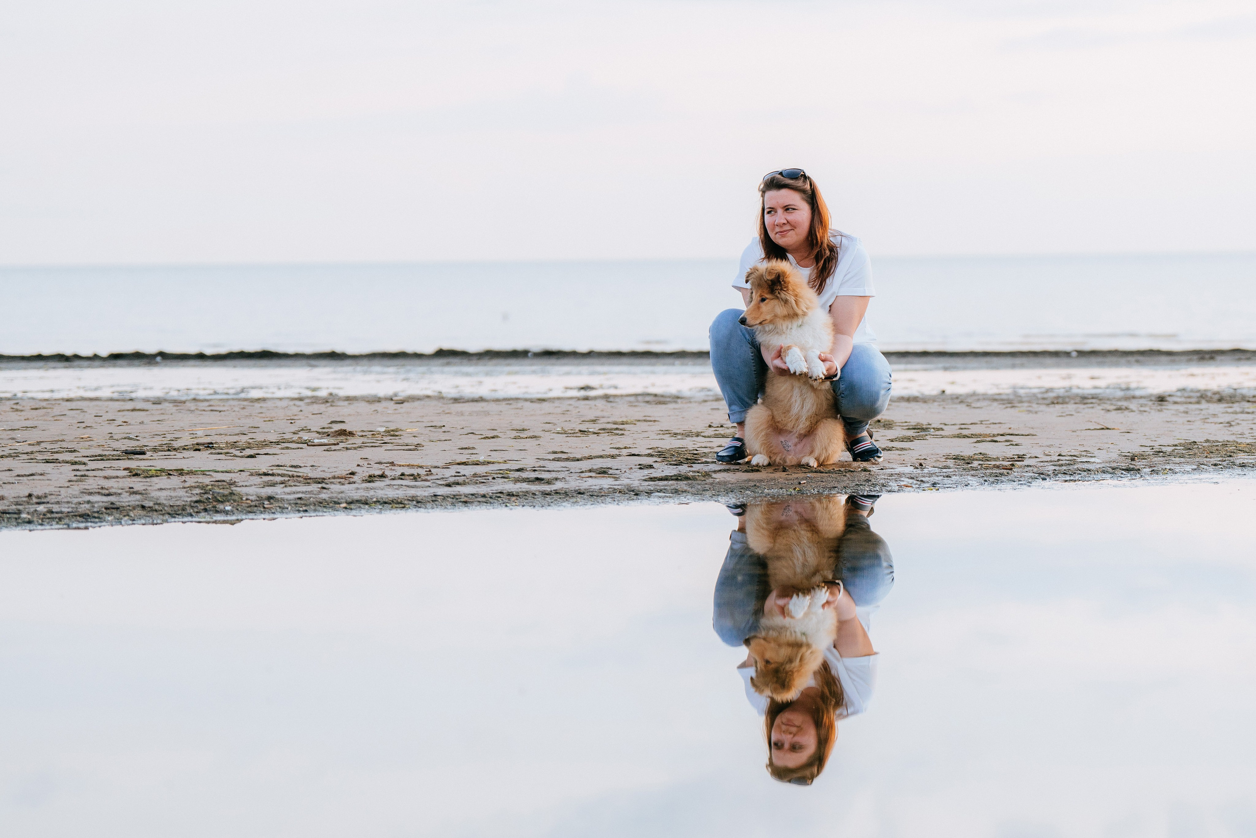 Фотосессия со щенками колли. Фотограф анималист в Спб недорого Олеся Майорова