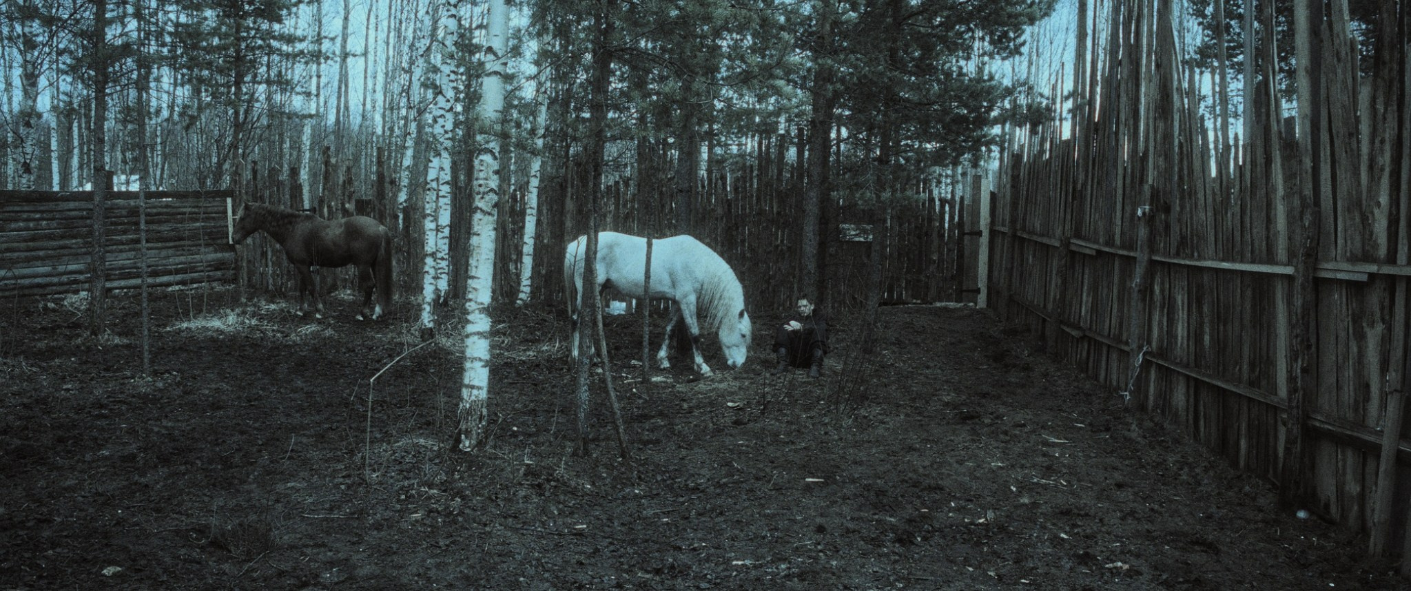 A FAIRY TALE FOR THE OLD (2022). ALEXEI RODIONOV