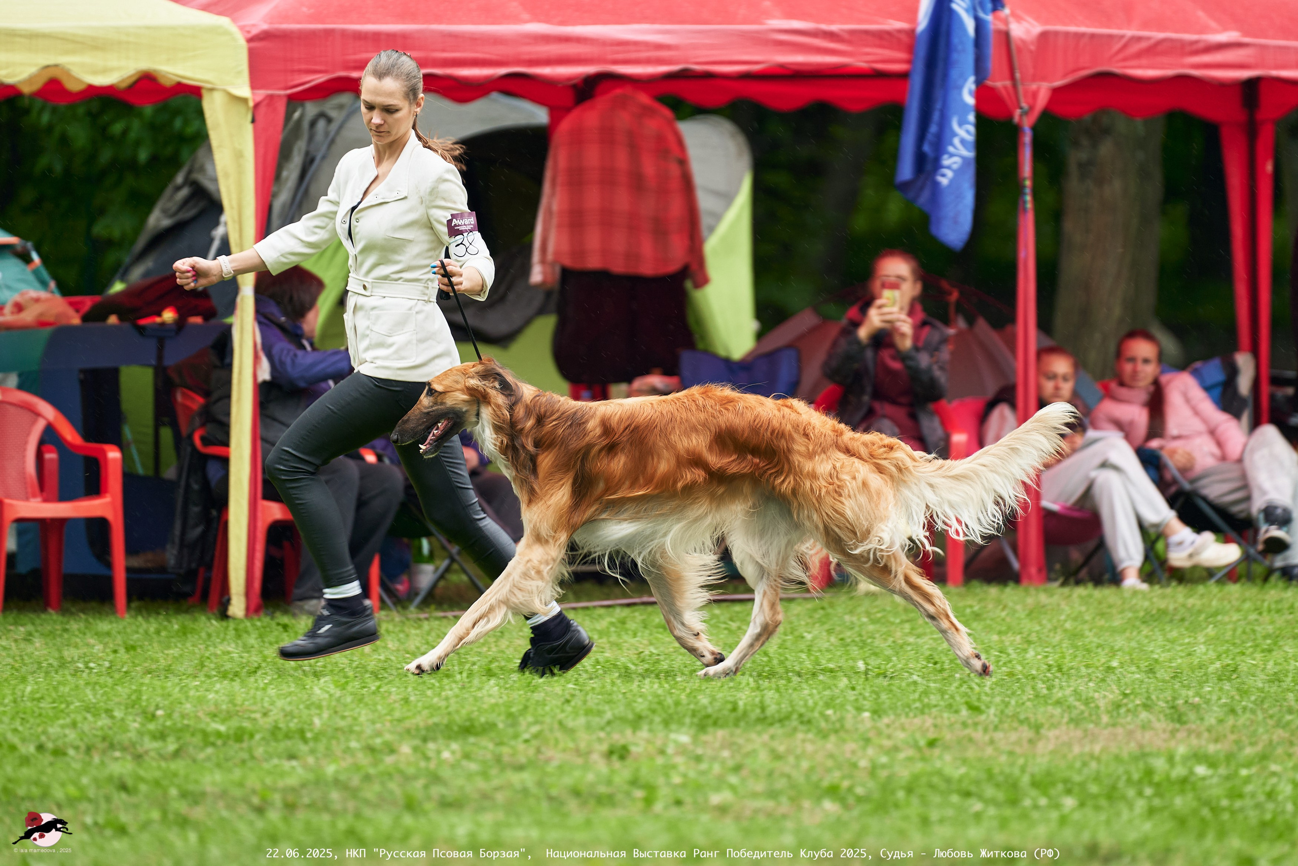 22.06.2025 | Национальная Выставка НКП "Русская Псовая Борзая"