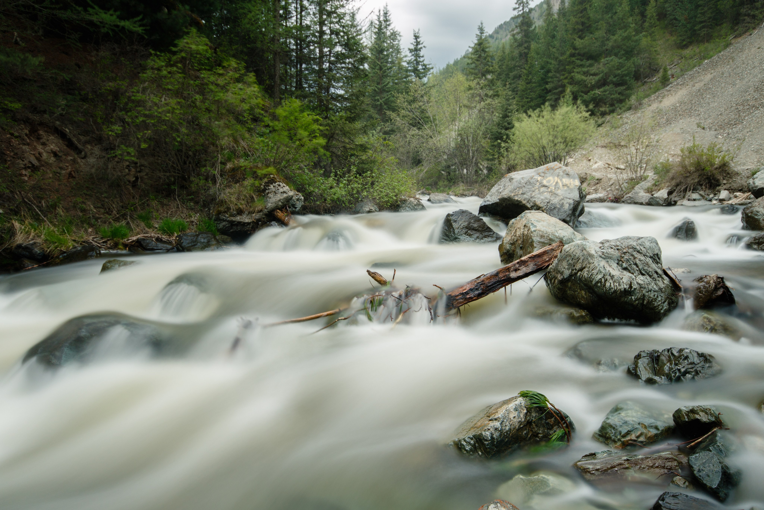Подберу кадр под ваш интерьер и настроение. Фотограф Кирилл Мешков Кемерово