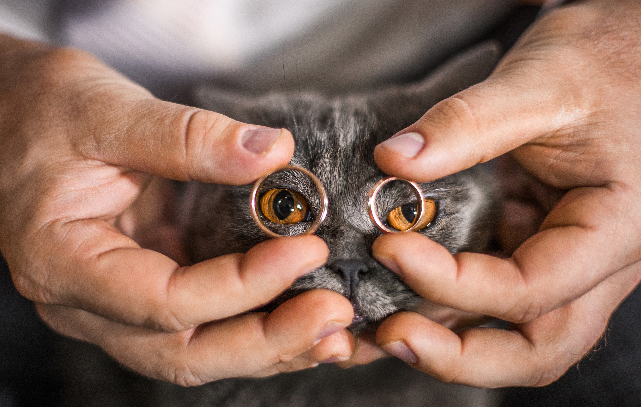 Свадебный и семейный фотограф в Санкт-Петербурге Александр Бачевский