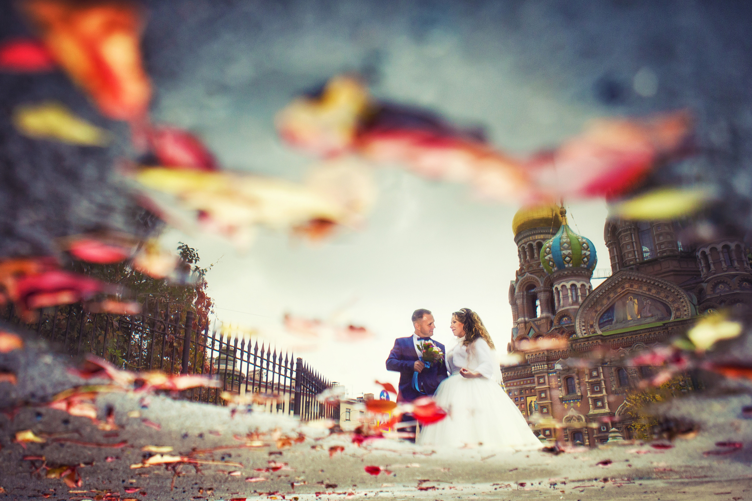 Свадебный и семейный фотограф в Санкт-Петербурге Александр Бачевский