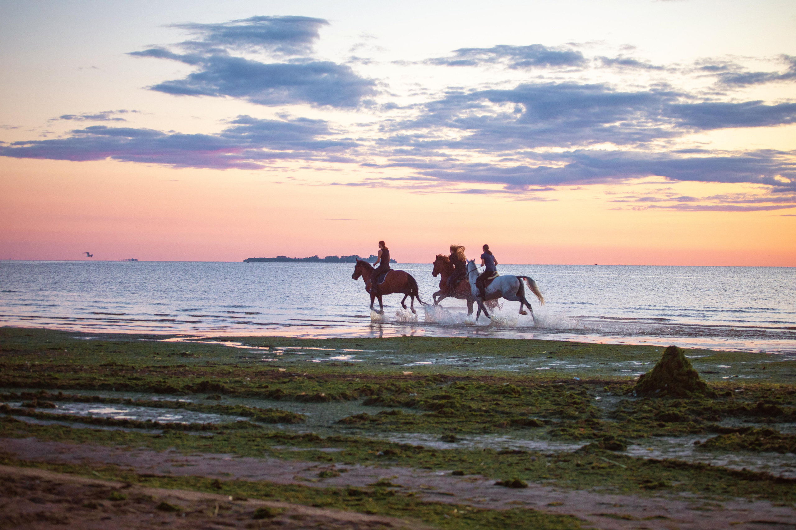 Свадебный и семейный фотограф в Санкт-Петербурге Александр Бачевский