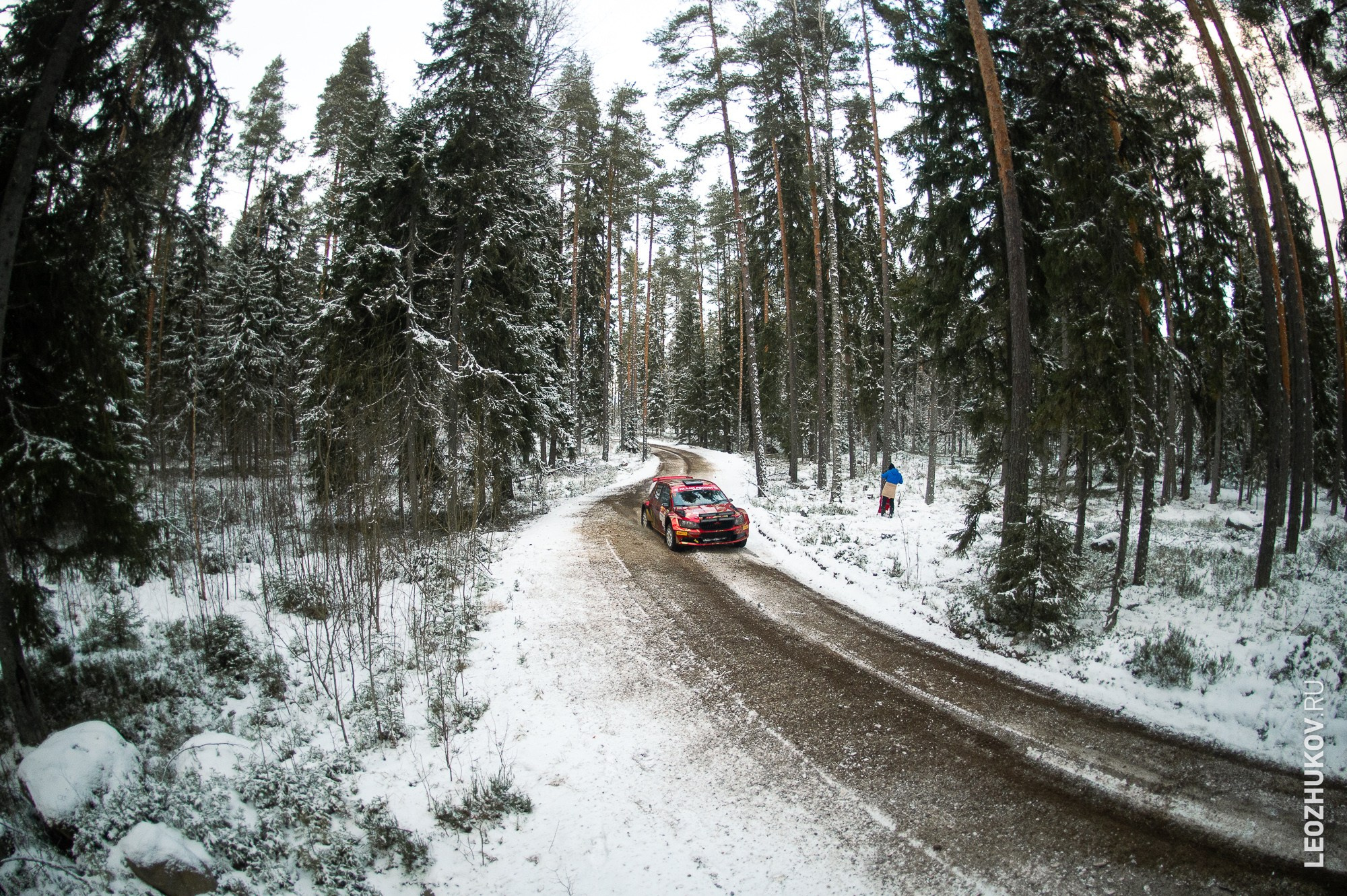 Rally Vyborg 2024. Sports photographer Leonid Zhukov