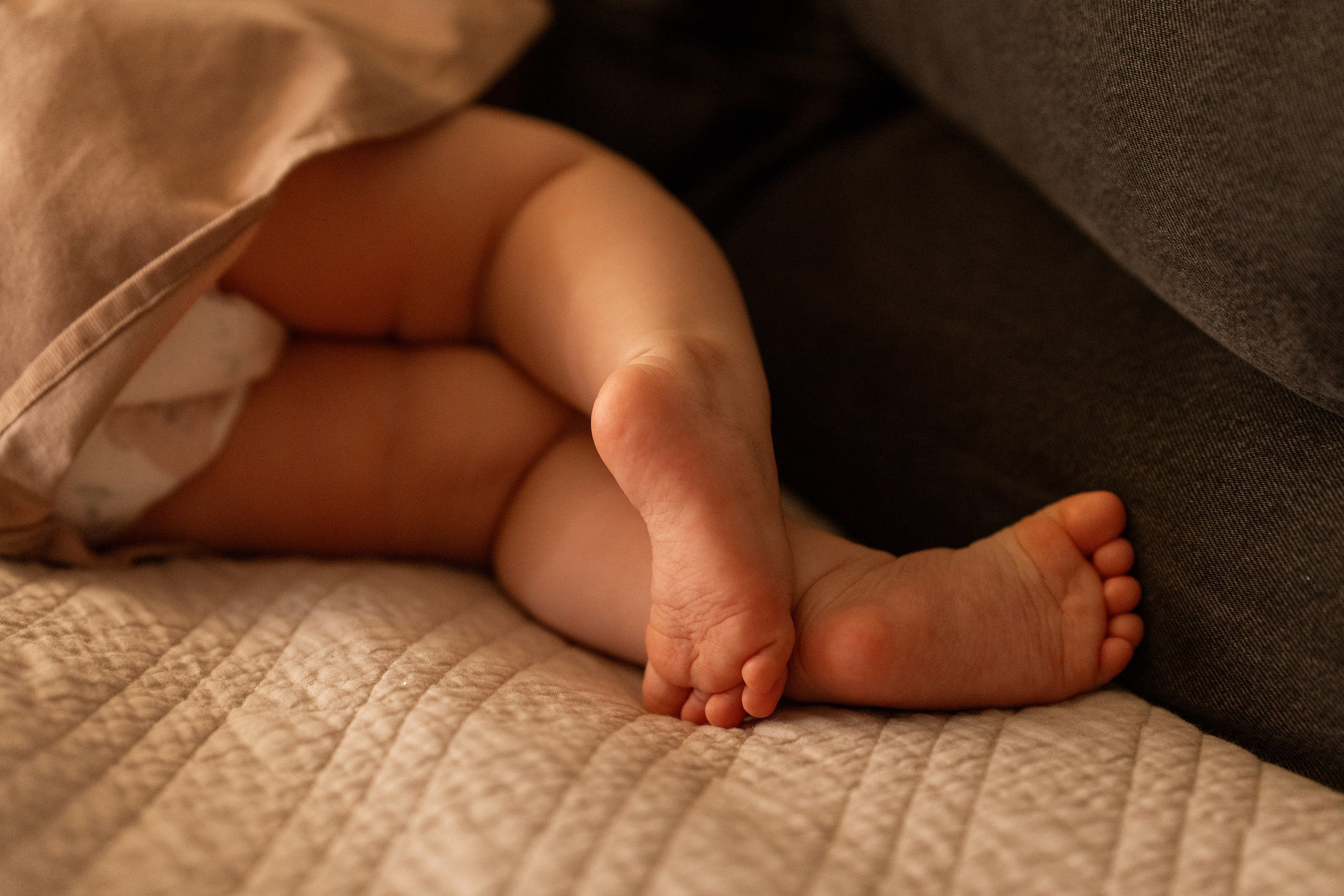 Светлана НГ. Семейный фотограф в Санкт-Петербурге — Наташа Тарасенко