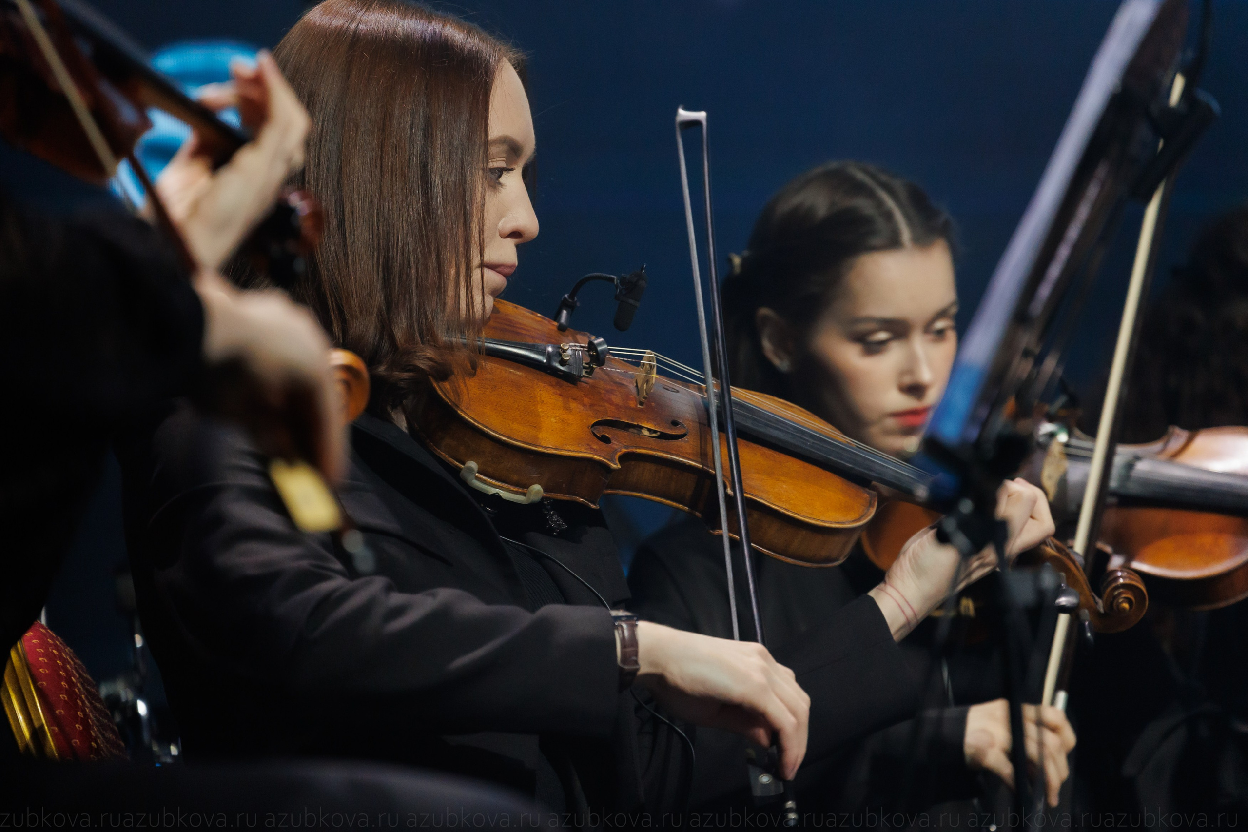 Sting Desert Rose Symphony. Фотограф Анастасия Зубкова
