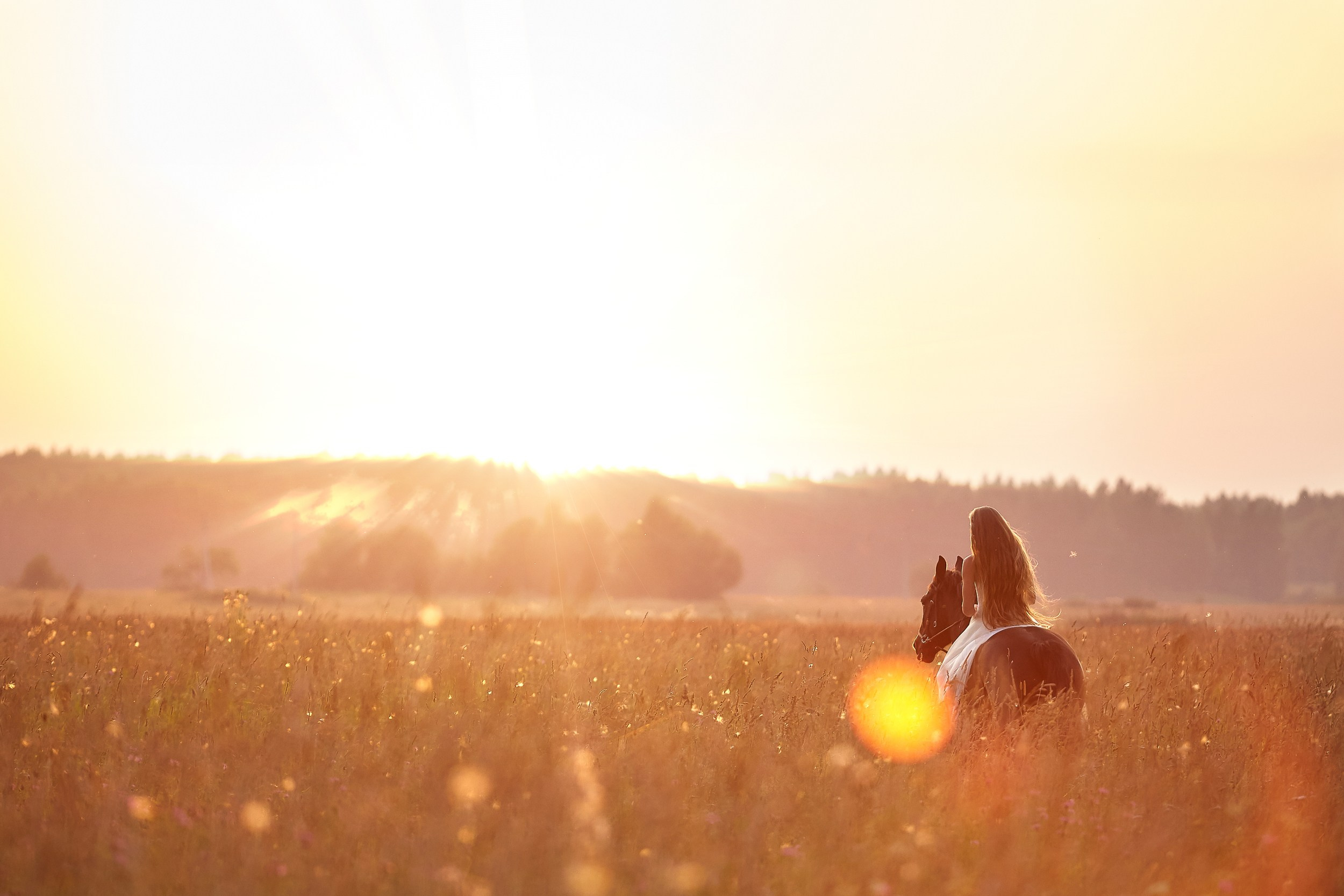 Фотосессия с лошадьми Фотограф Михаил Семенов, г. Ярославль