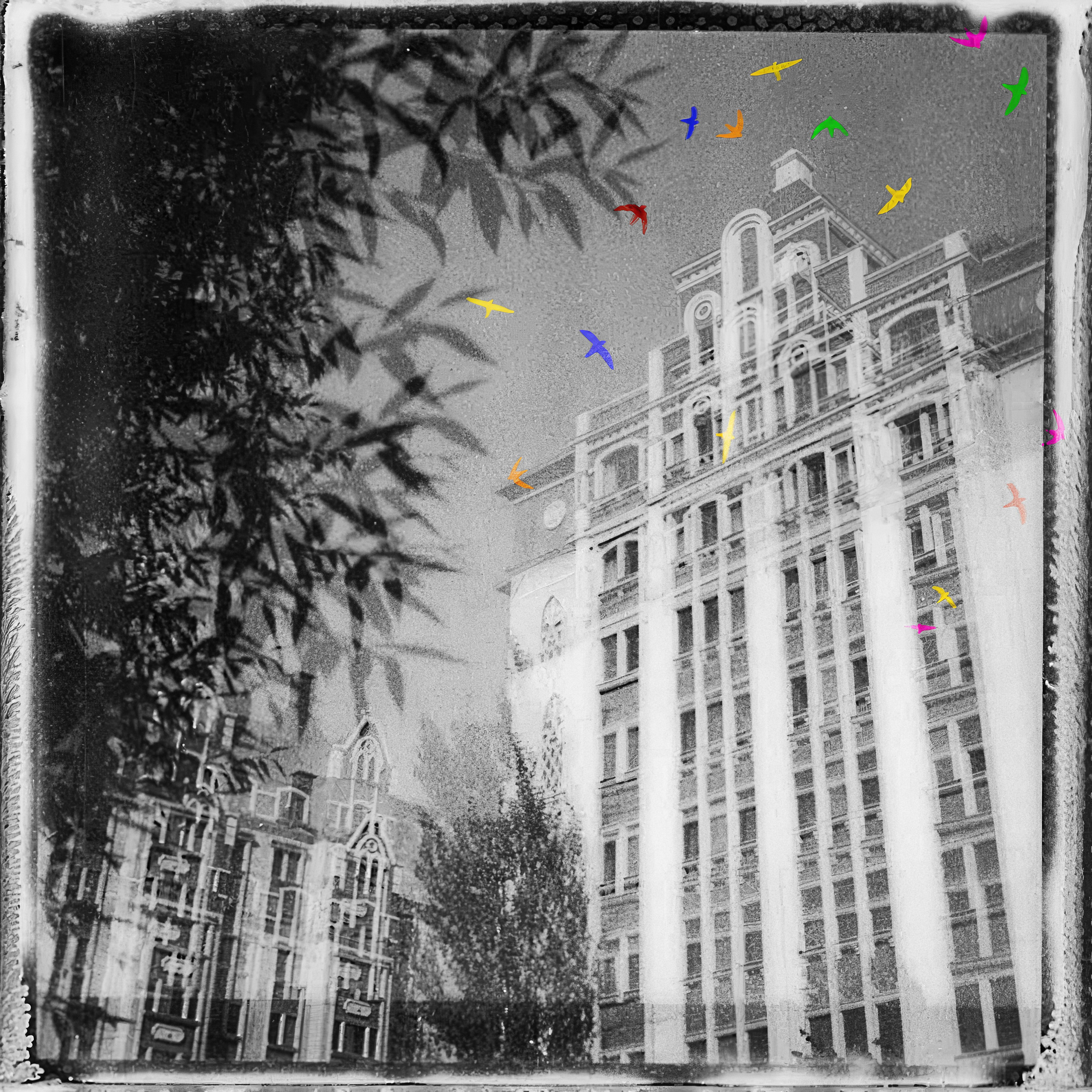 Liberation project by Vladimir Borele. Vladimir Borele Photographer