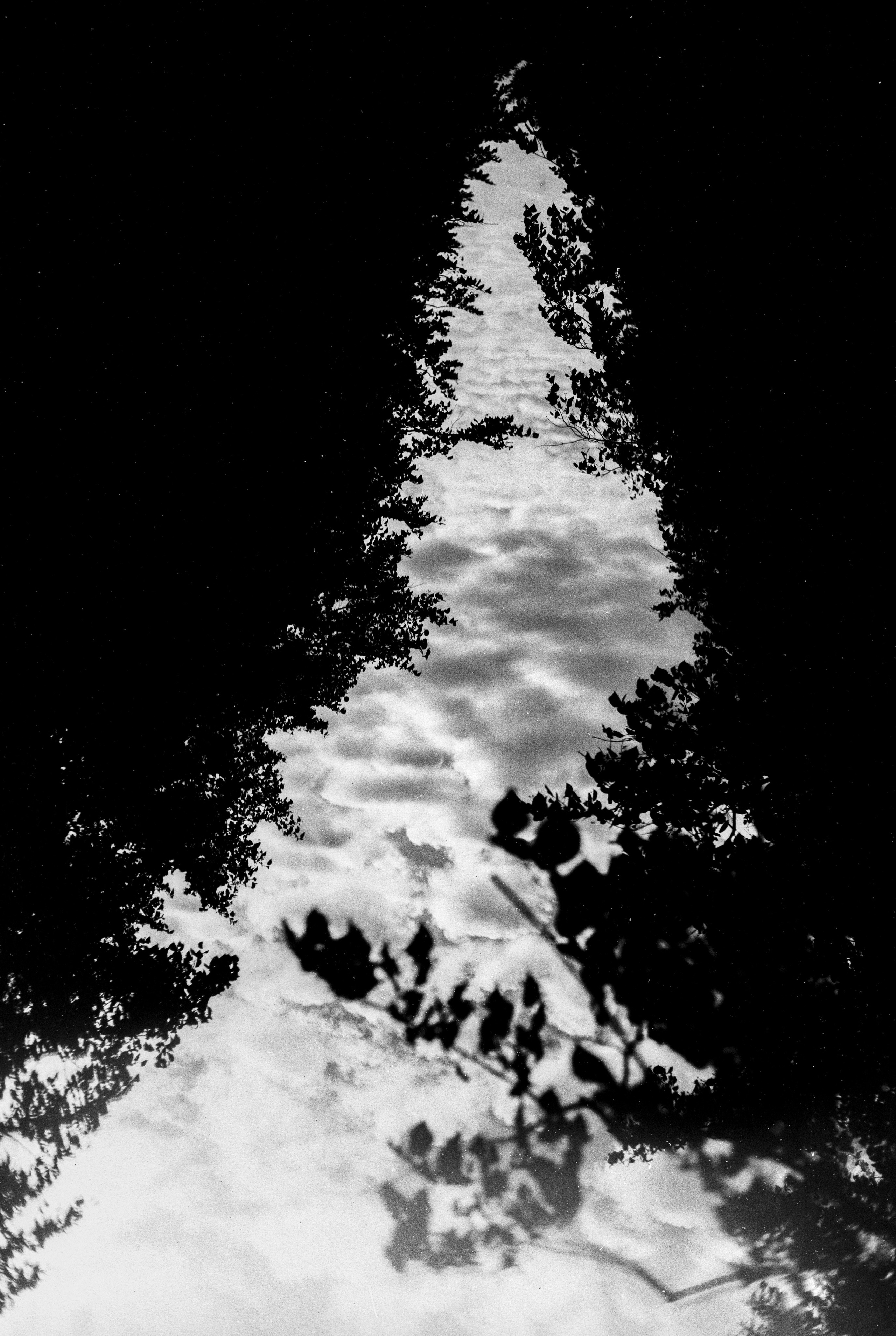 Автор: Георгий Куликов