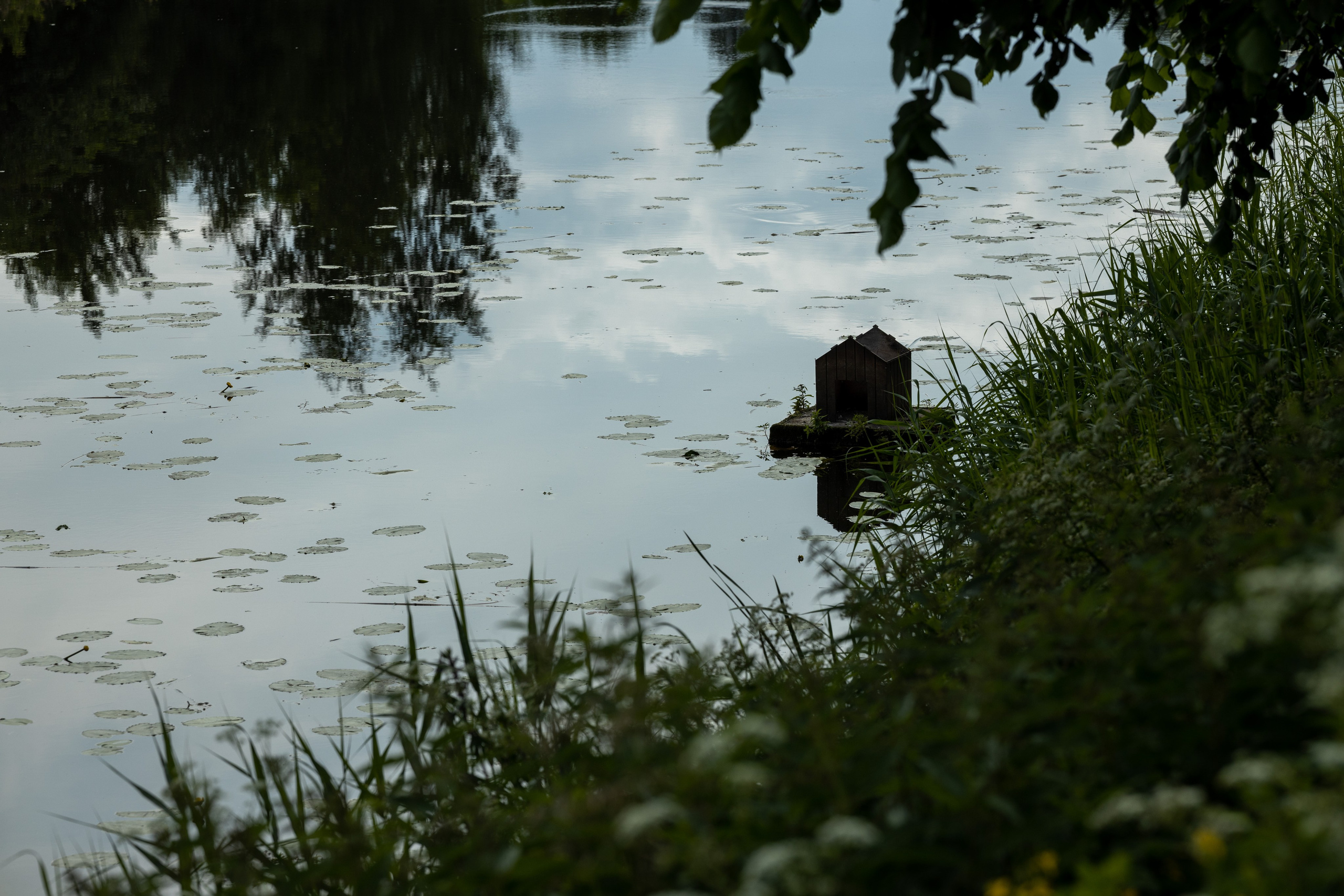 Путешествие по Суздалю. Портретный фотограф в Костроме Наталия Клевинскас
