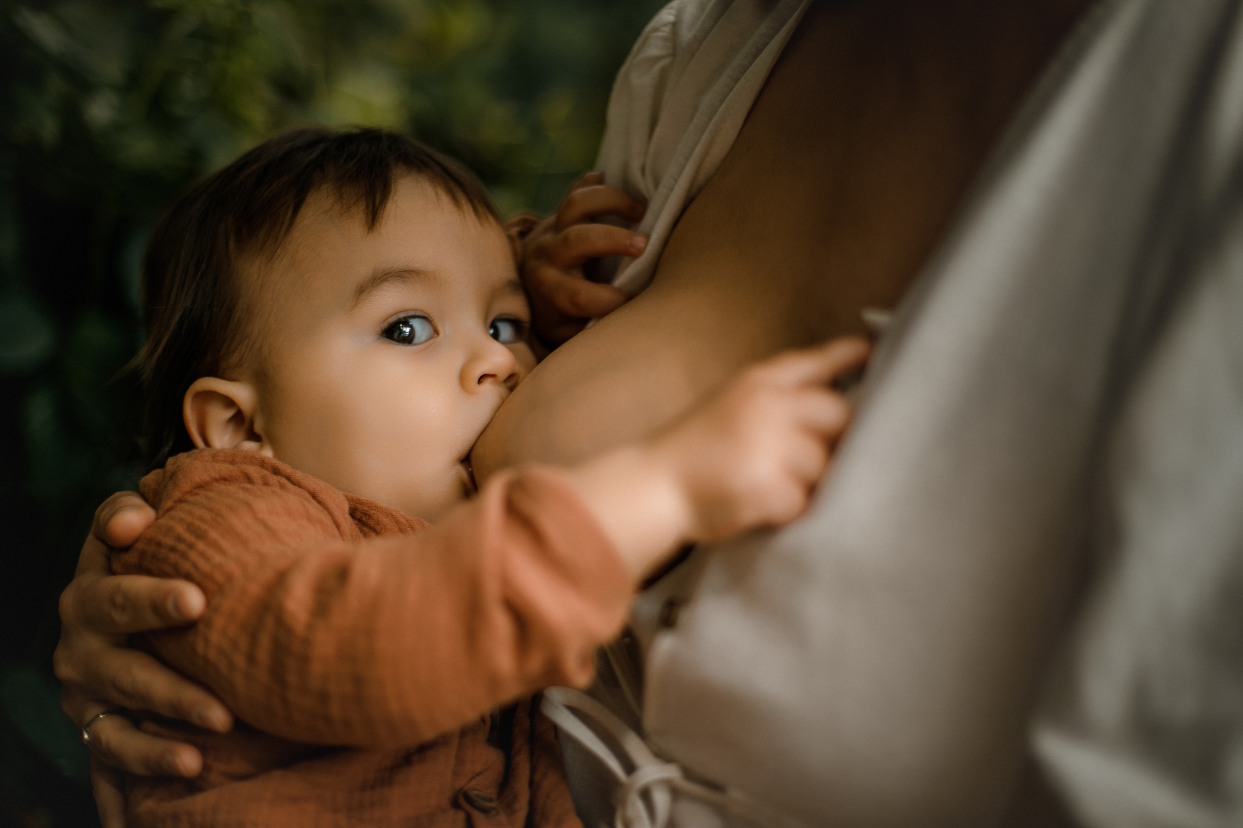грудное вскармливание фотосессия