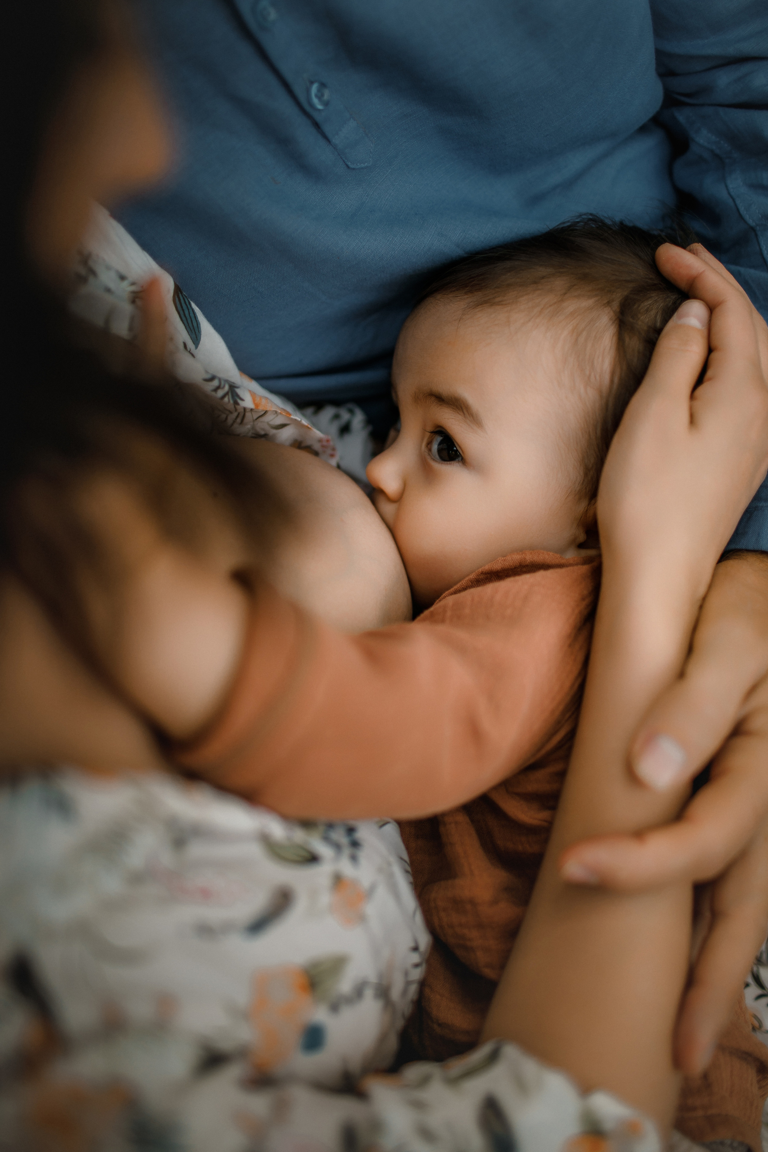 грудное вскармливание до года