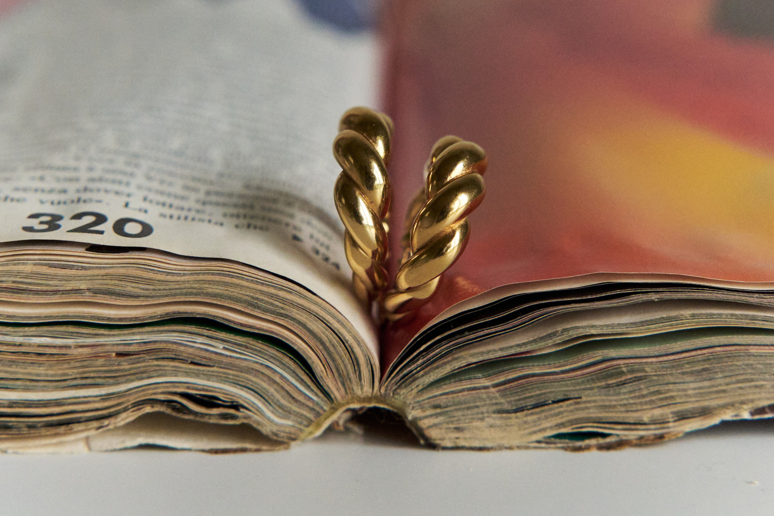 Фотограф в Санкт-Петербурге и Москве Наталья Голуб