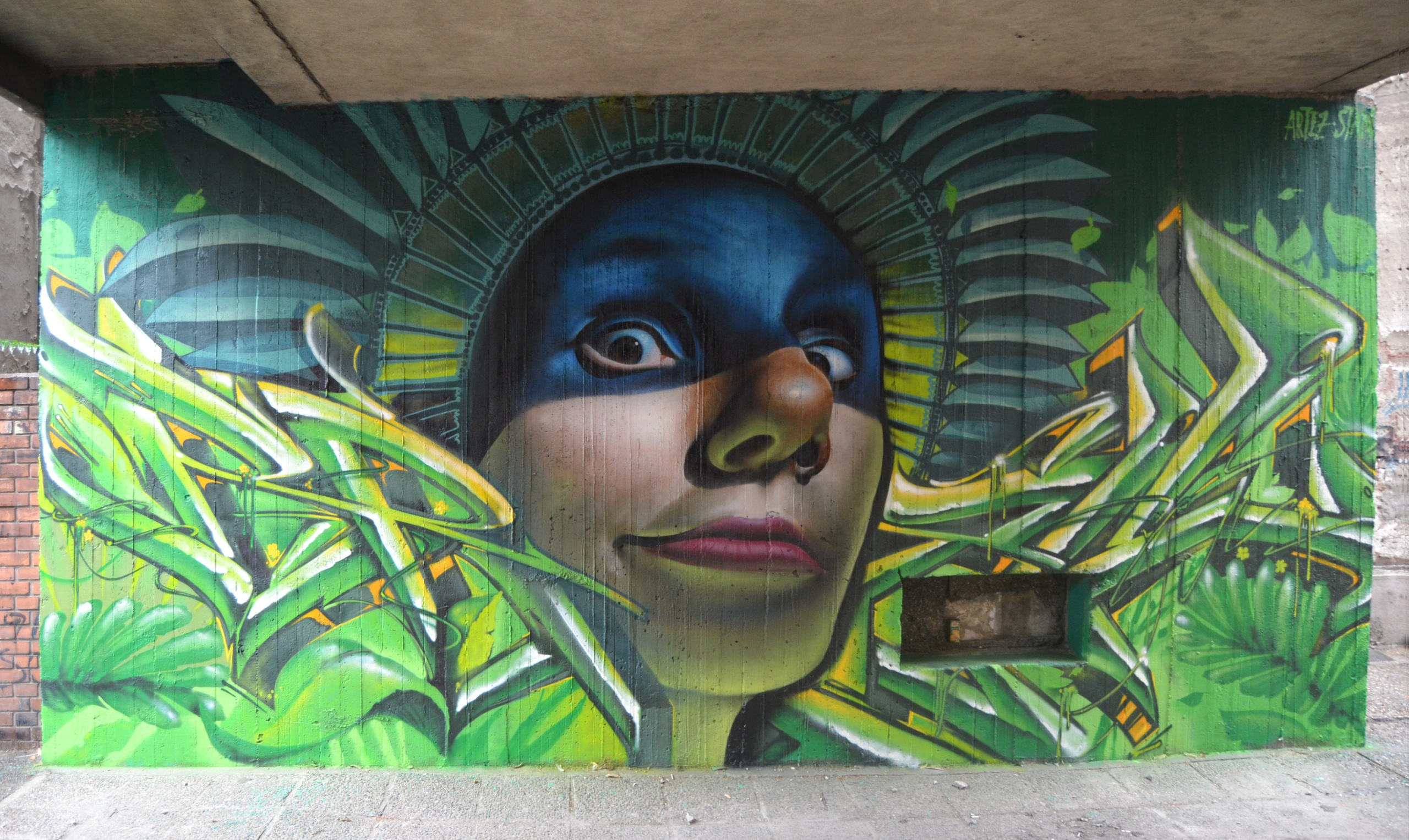Graffiti. Alexander Stan Shimanov