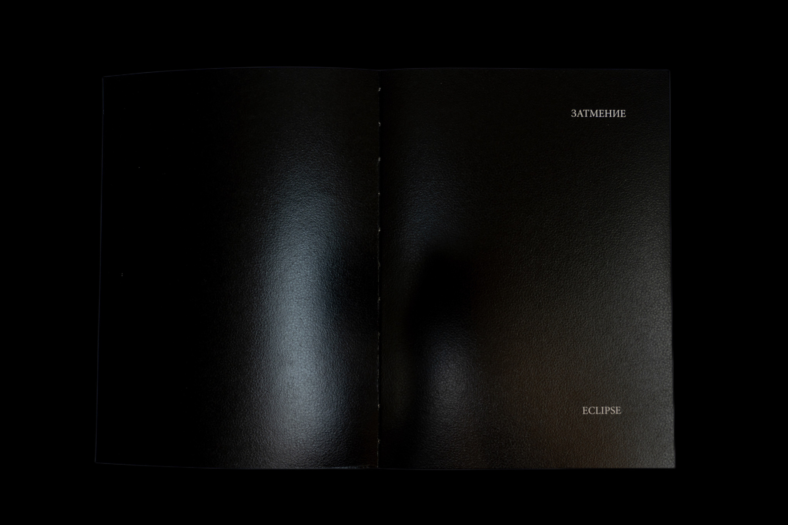 Затмение. Катрин Эдельвак