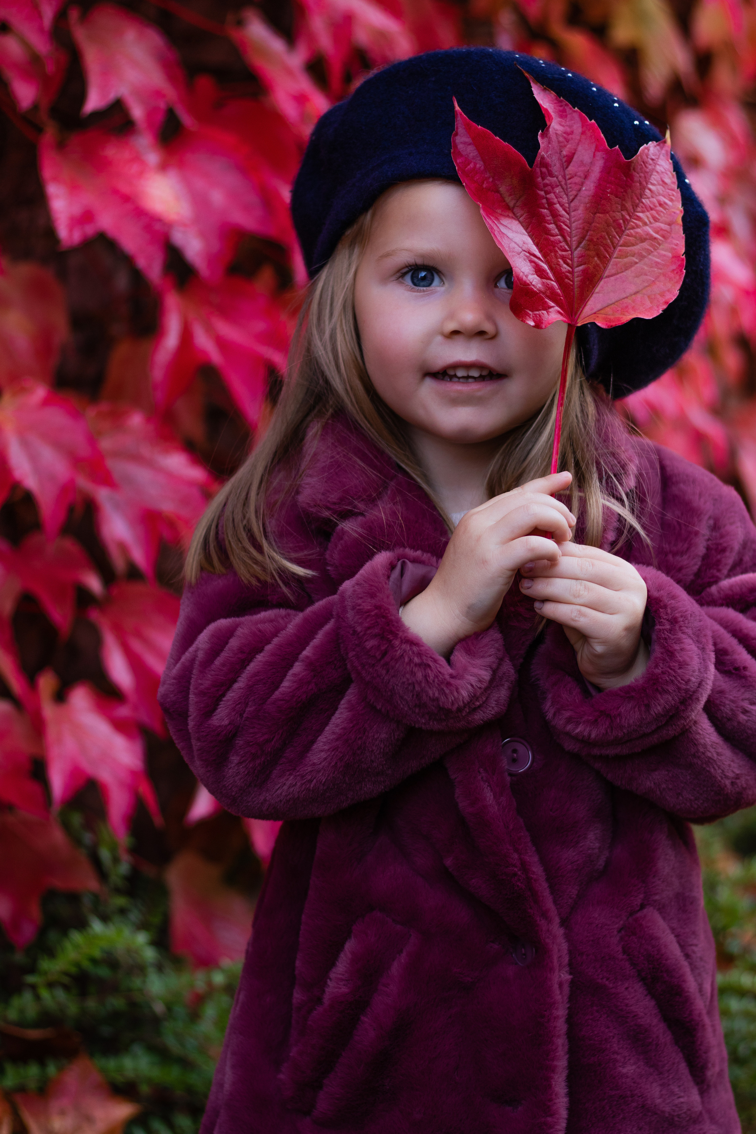Autumn shiny girl. Family, Children and Business photographer in Belgium