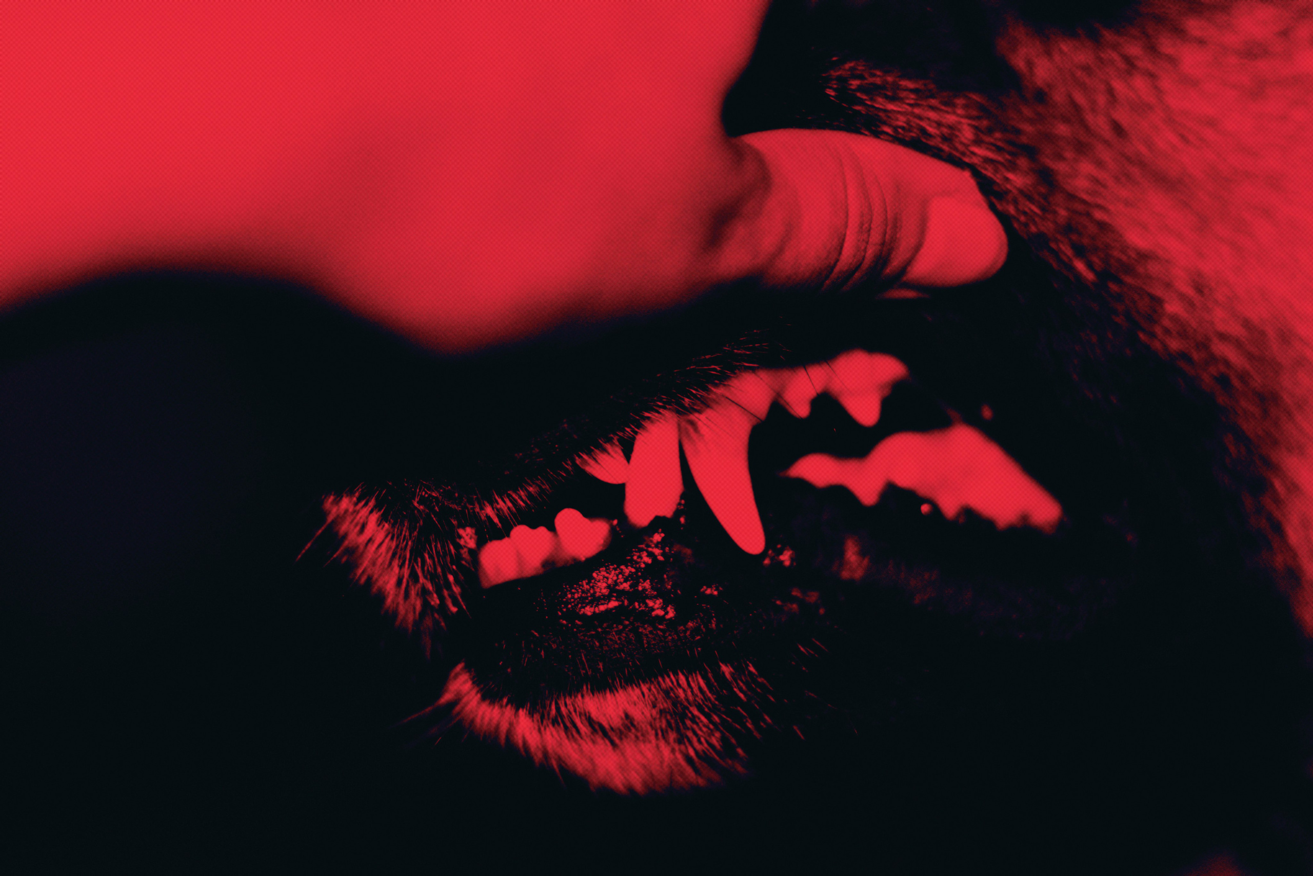 Затмение. Катрин Эдельвак