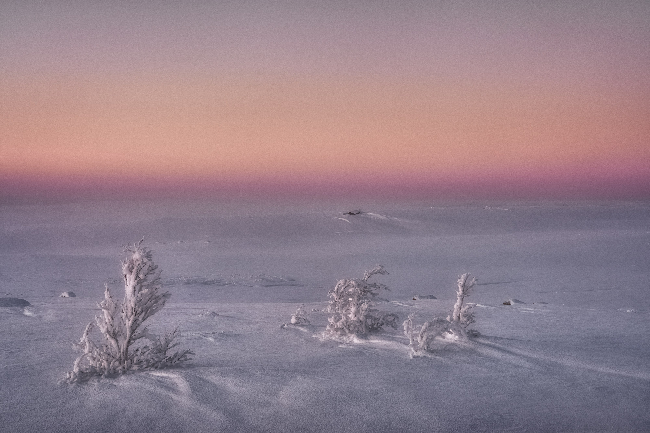 Предзимье на Кольском