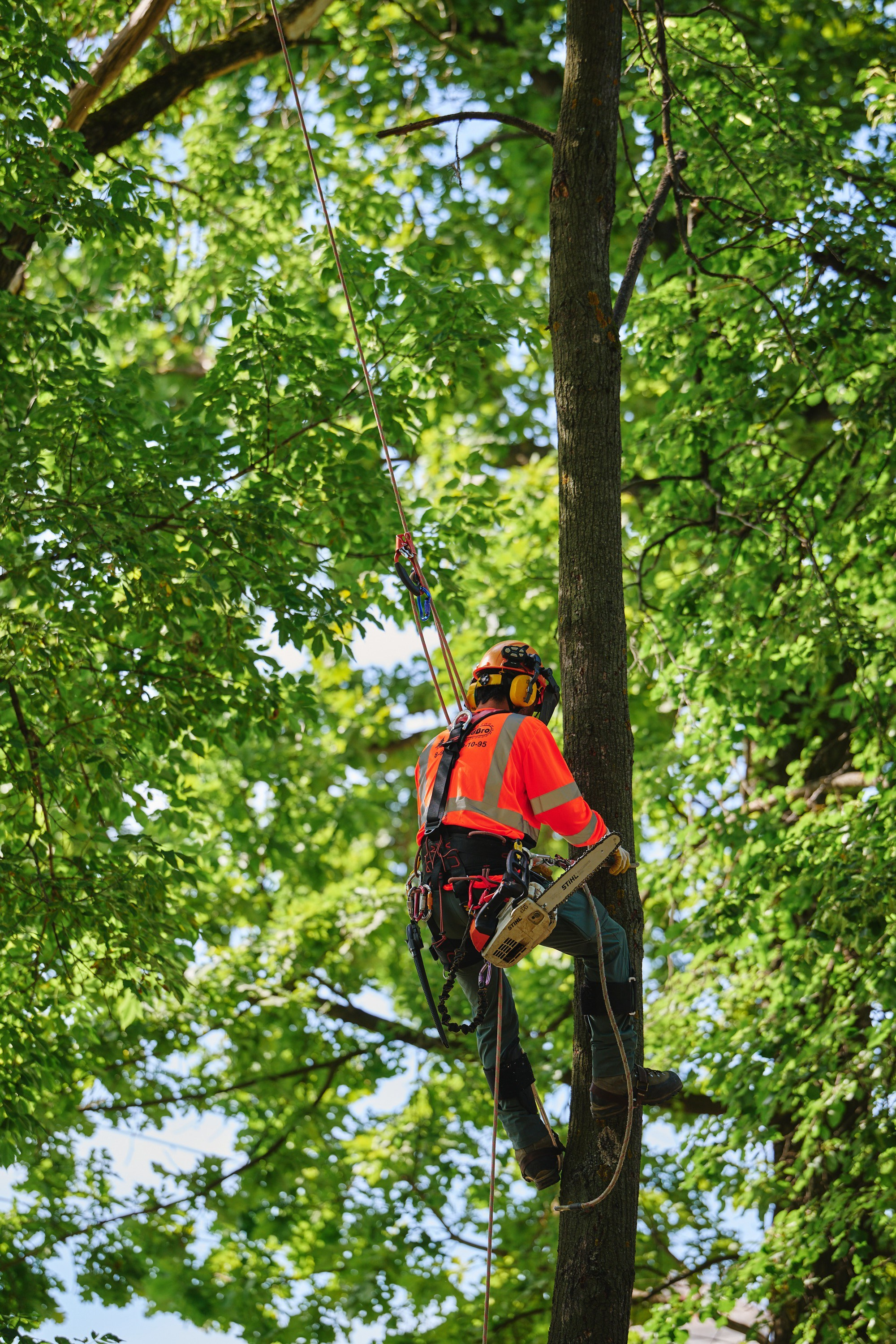 Ива фест 2025. Фотограф в Иваново: Каталожная съемка одежды и постельного белья, Wildberries
