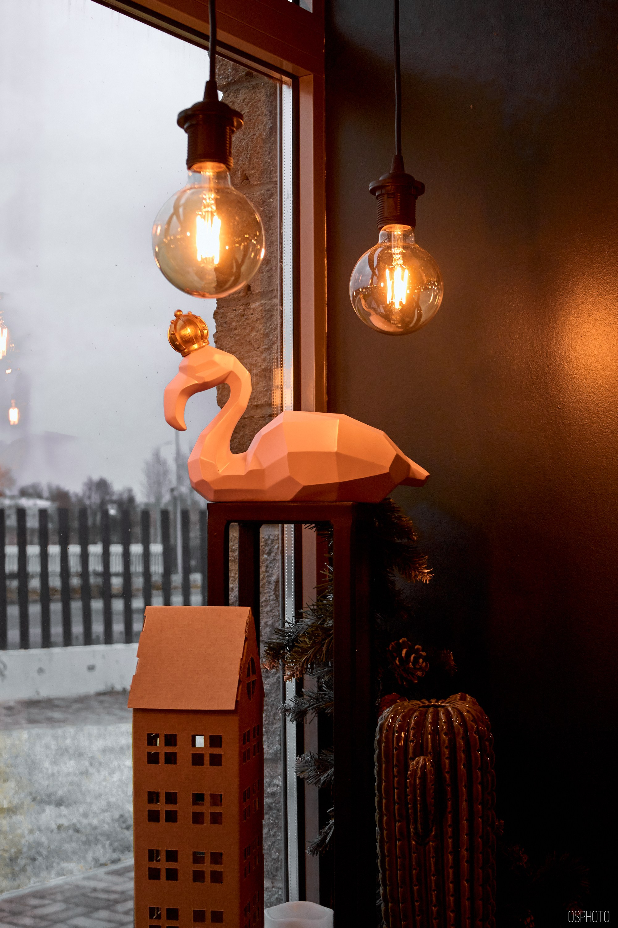 Псков. Ноябрь. Фотографъ Сергѣевъ. Поймать мгновеніе