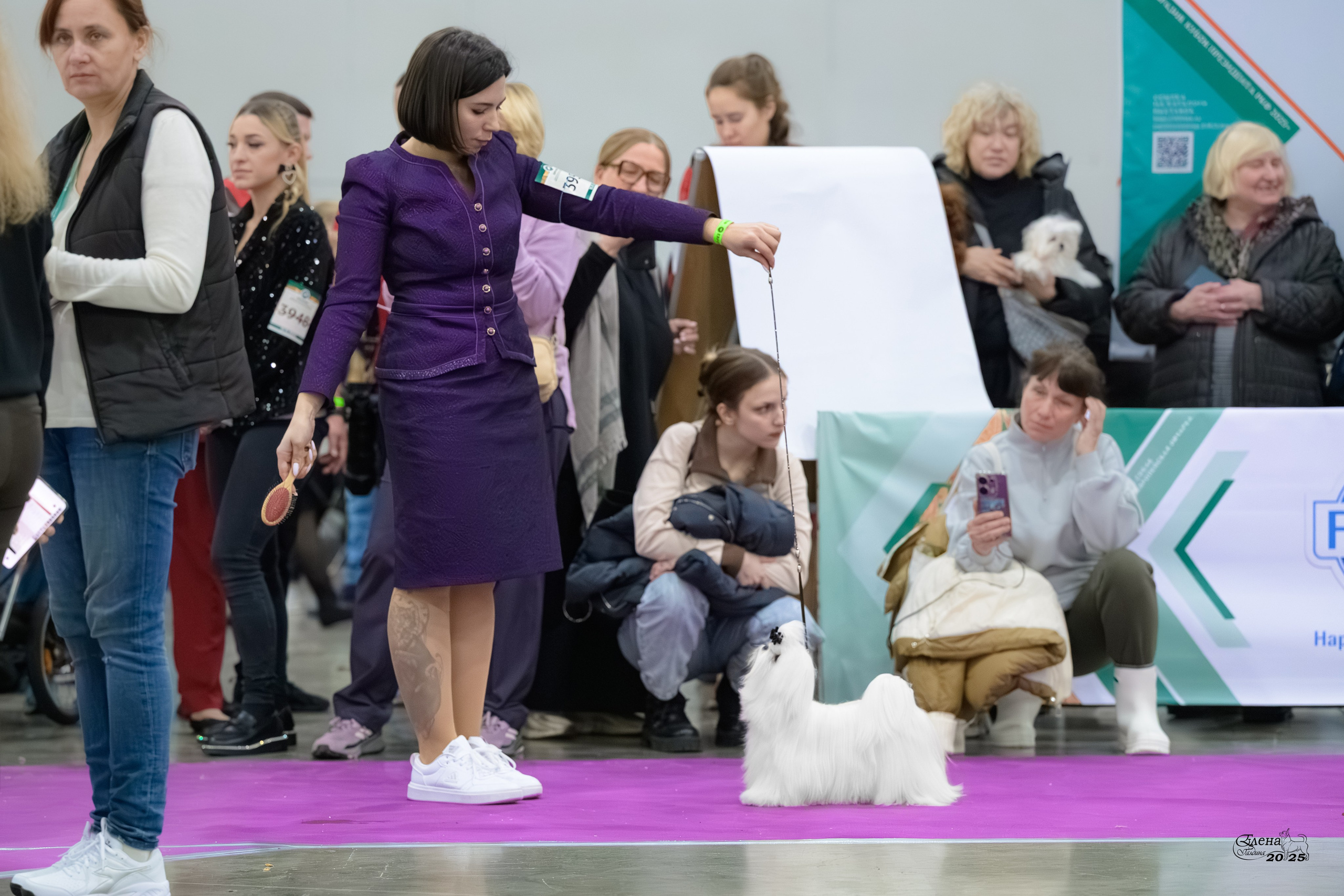 15-16.11.2025 ЕВРАЗИЯ г. Москва. Фотограф анималист Елена Галдина г. Красноярск