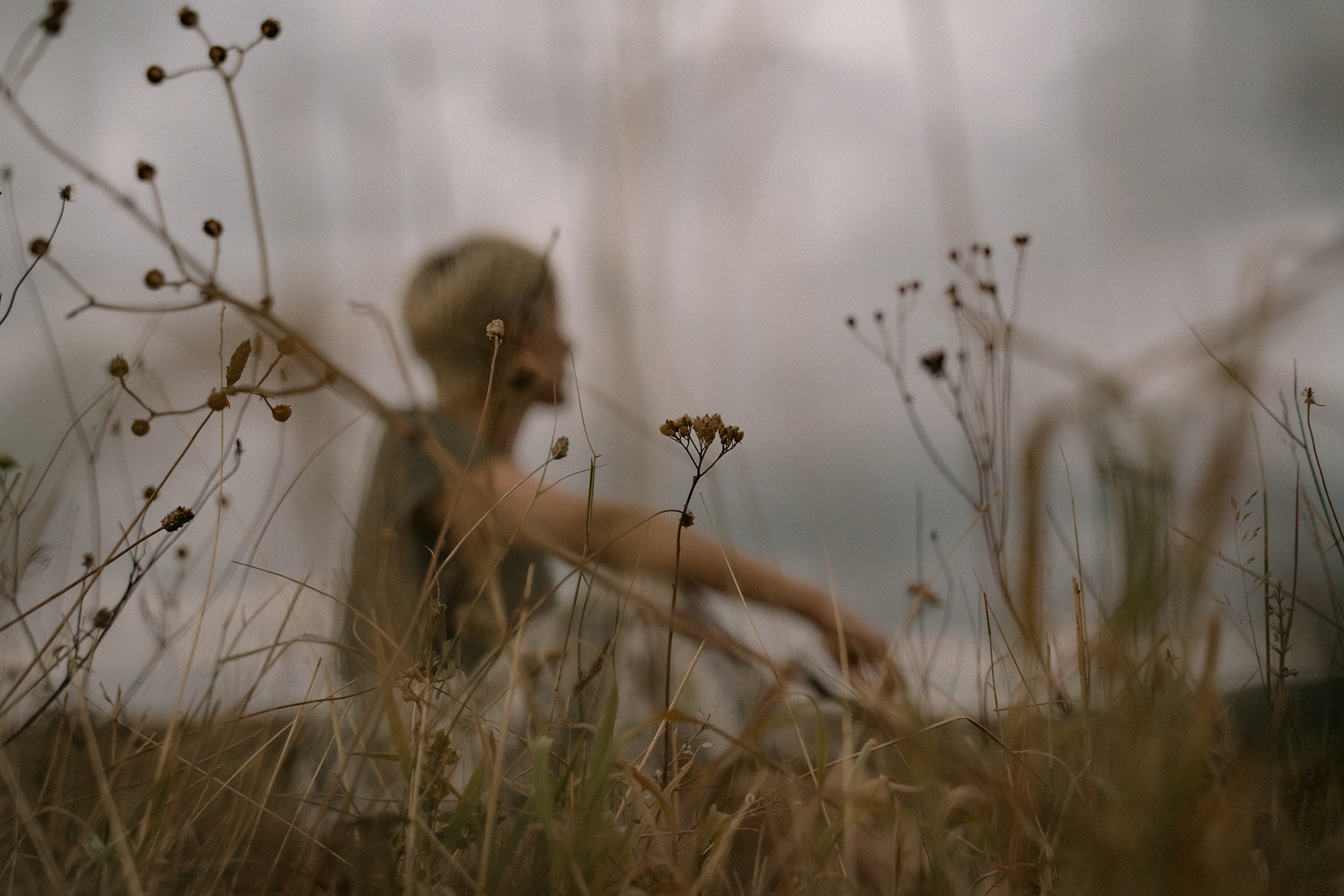 Тур «Великолепный Кавказ»