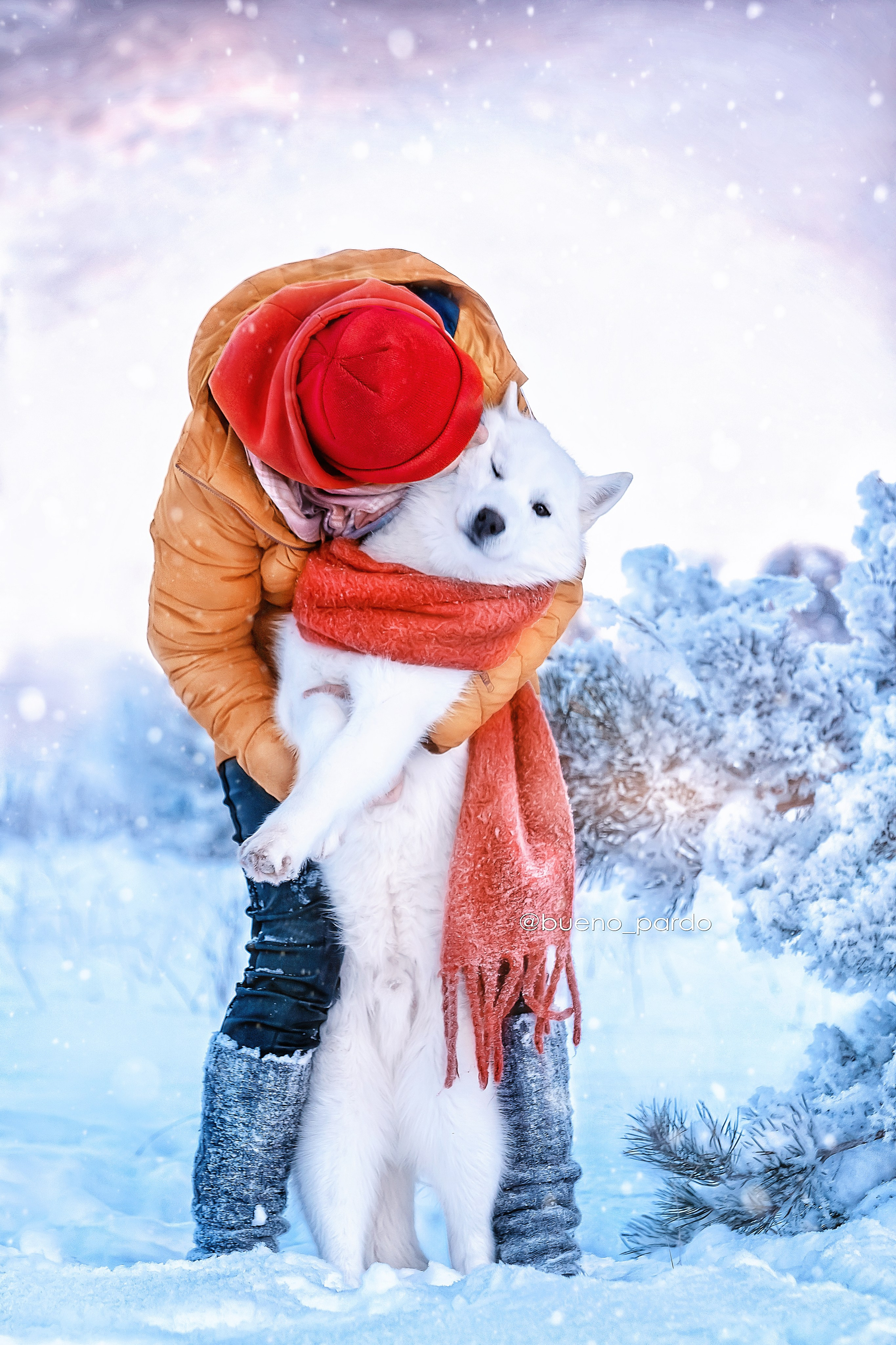 Собаки питомника Bueno Pardo. Питомник собак Акита, Хаски, Корги