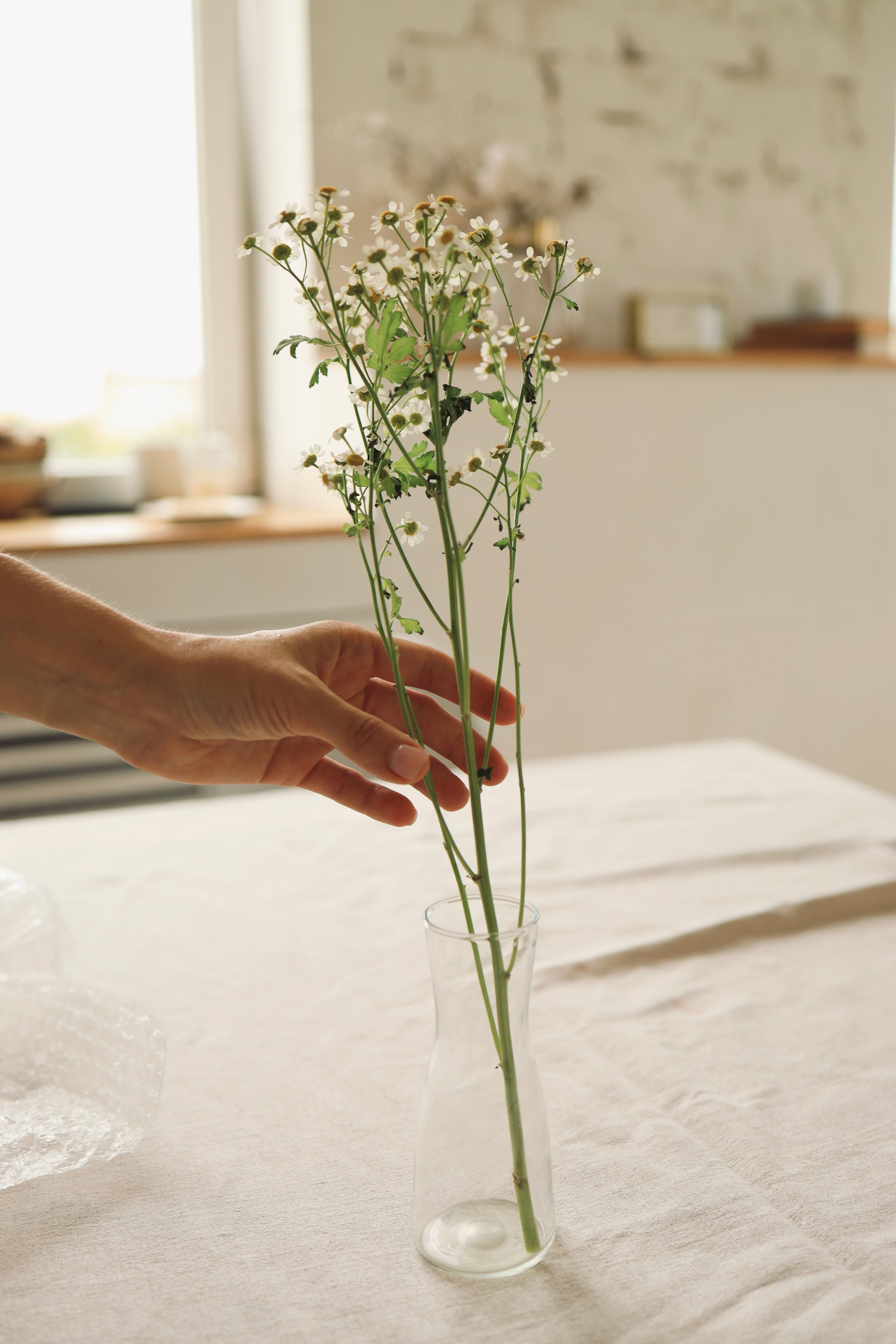 Cooking class by Cook Kruzhok | 2023. POLINA MÔMOT