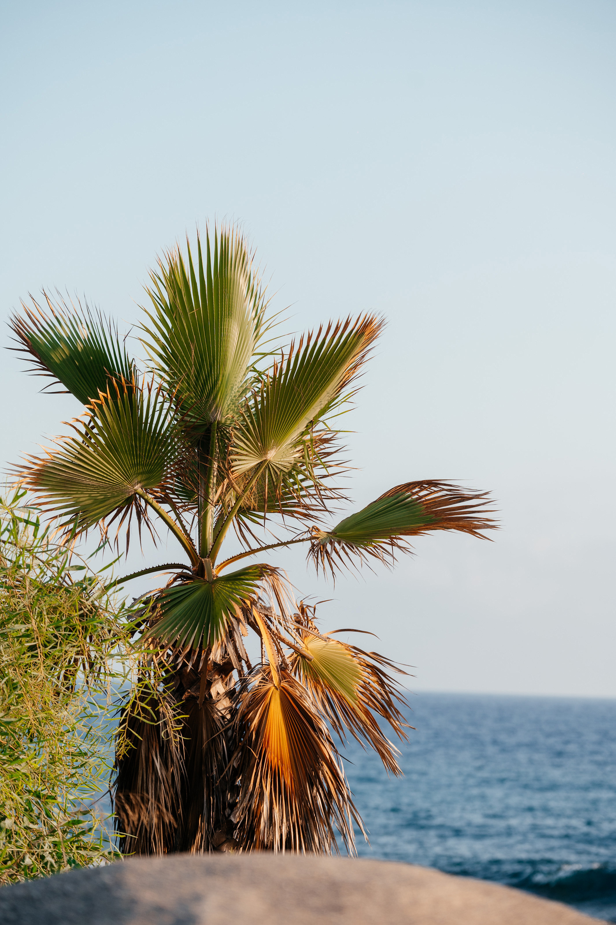 Liza. Photo & Video production, in Bishkek, Kyrgyzstan